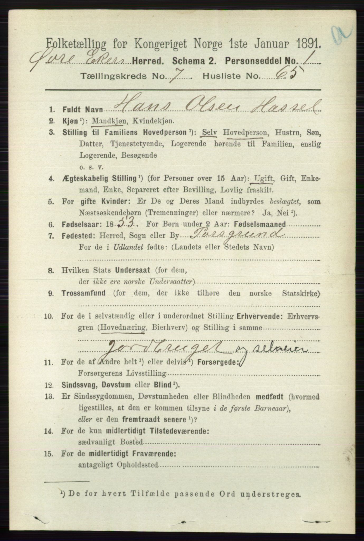 RA, 1891 census for 0624 Øvre Eiker, 1891, p. 2936