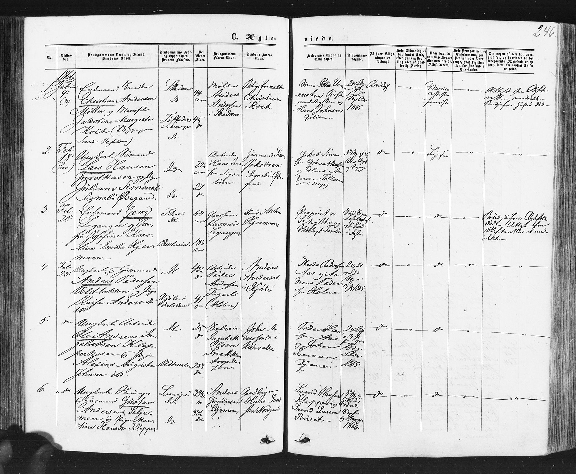 Idd prestekontor Kirkebøker, SAO/A-10911/F/Fc/L0005: Parish register (official) no. III 5, 1861-1877, p. 246