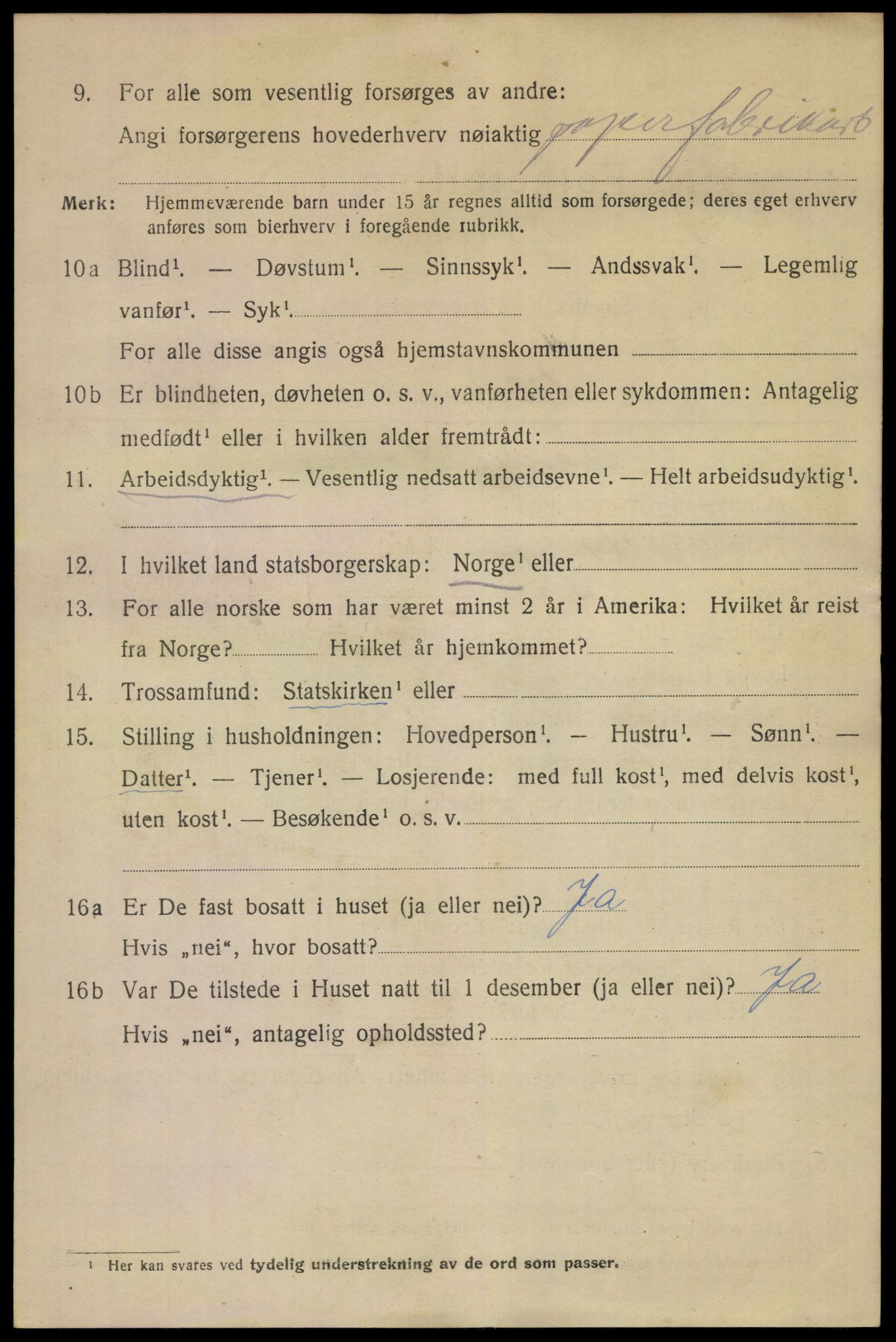 SAKO, 1920 census for Skien, 1920, p. 43529