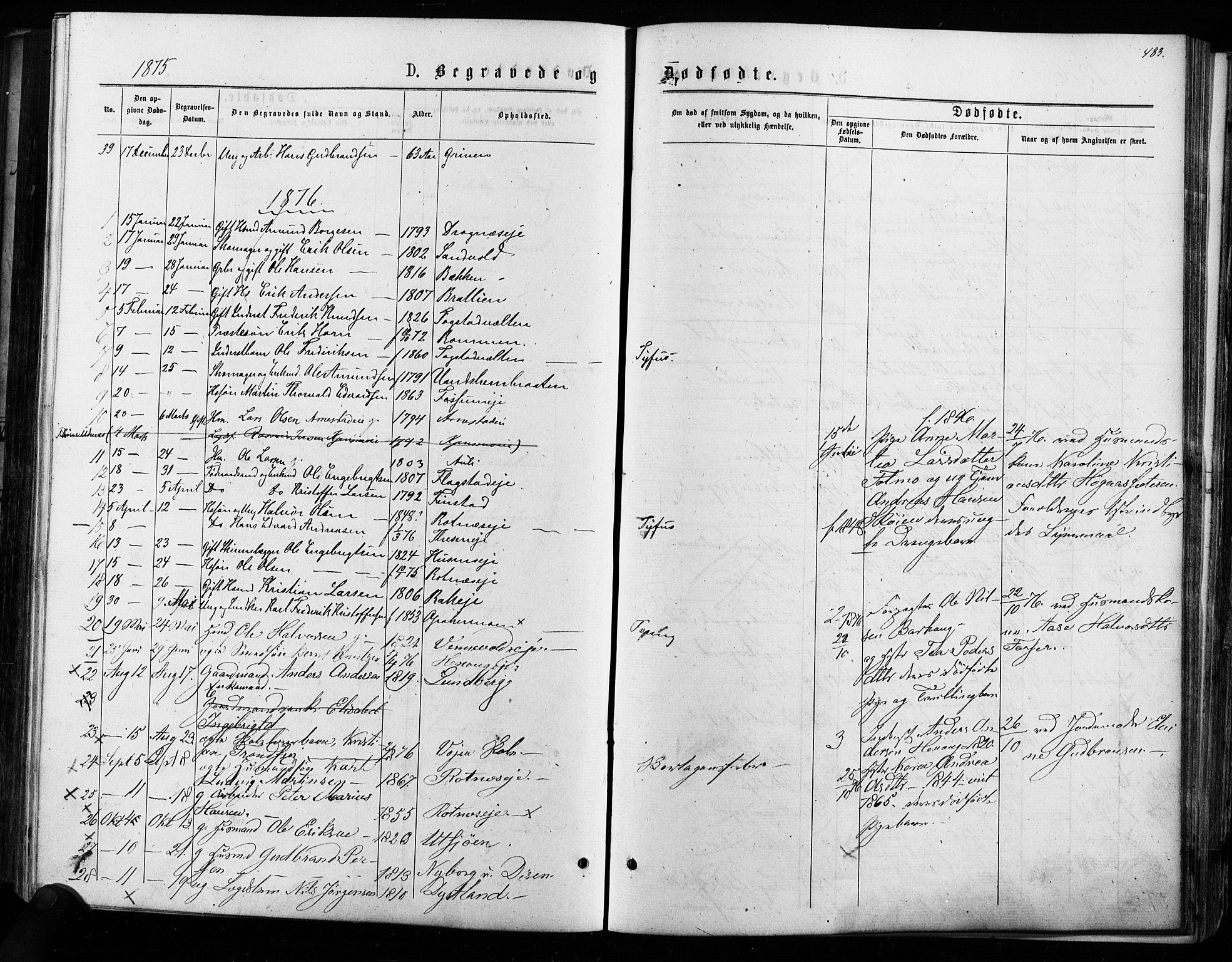 Nes prestekontor Kirkebøker, AV/SAO-A-10410/F/Fa/L0009: Parish register (official) no. I 9, 1875-1882, p. 483