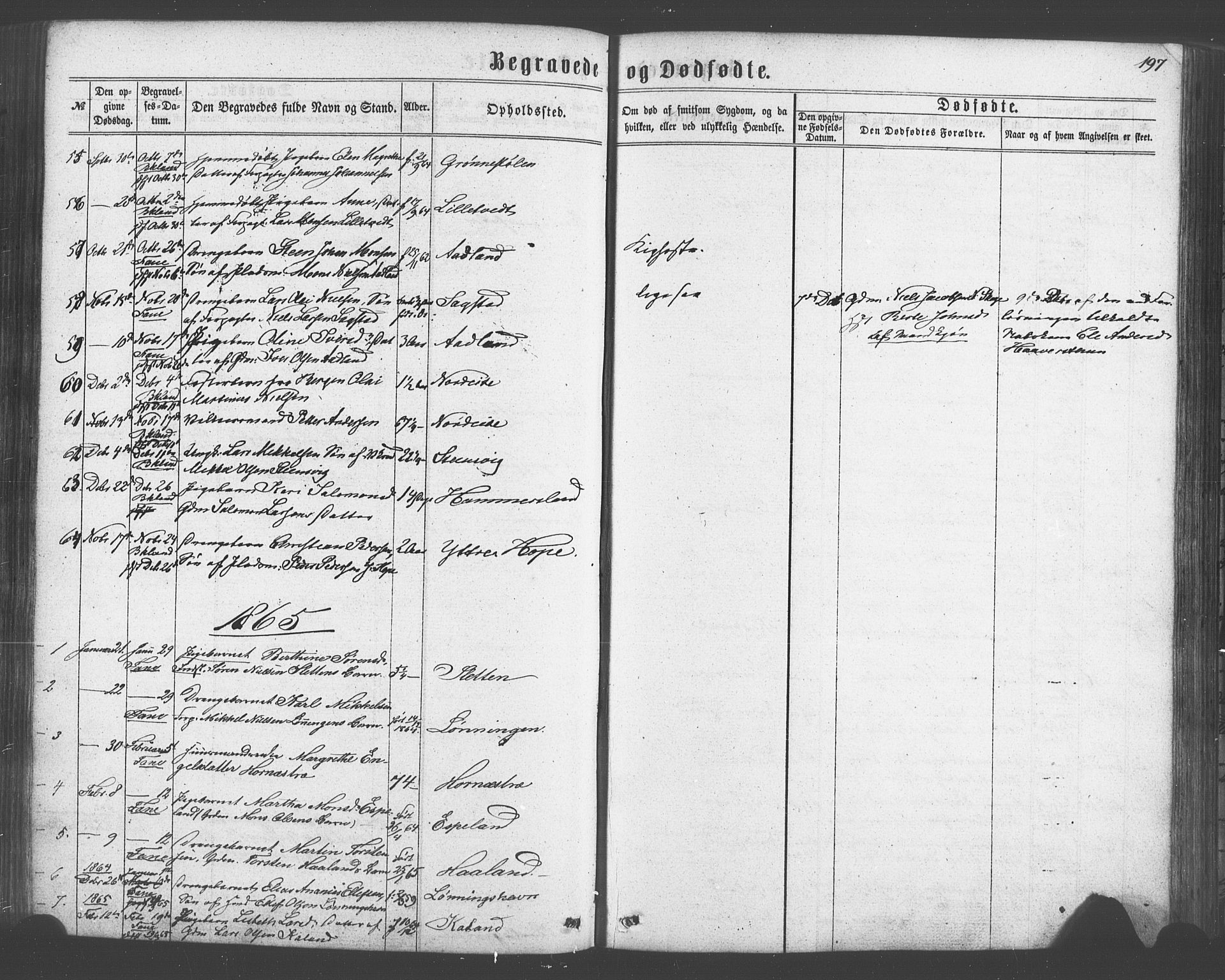 Fana Sokneprestembete, SAB/A-75101/H/Haa/Haaa/L0012: Parish register (official) no. A 12, 1862-1878, p. 197