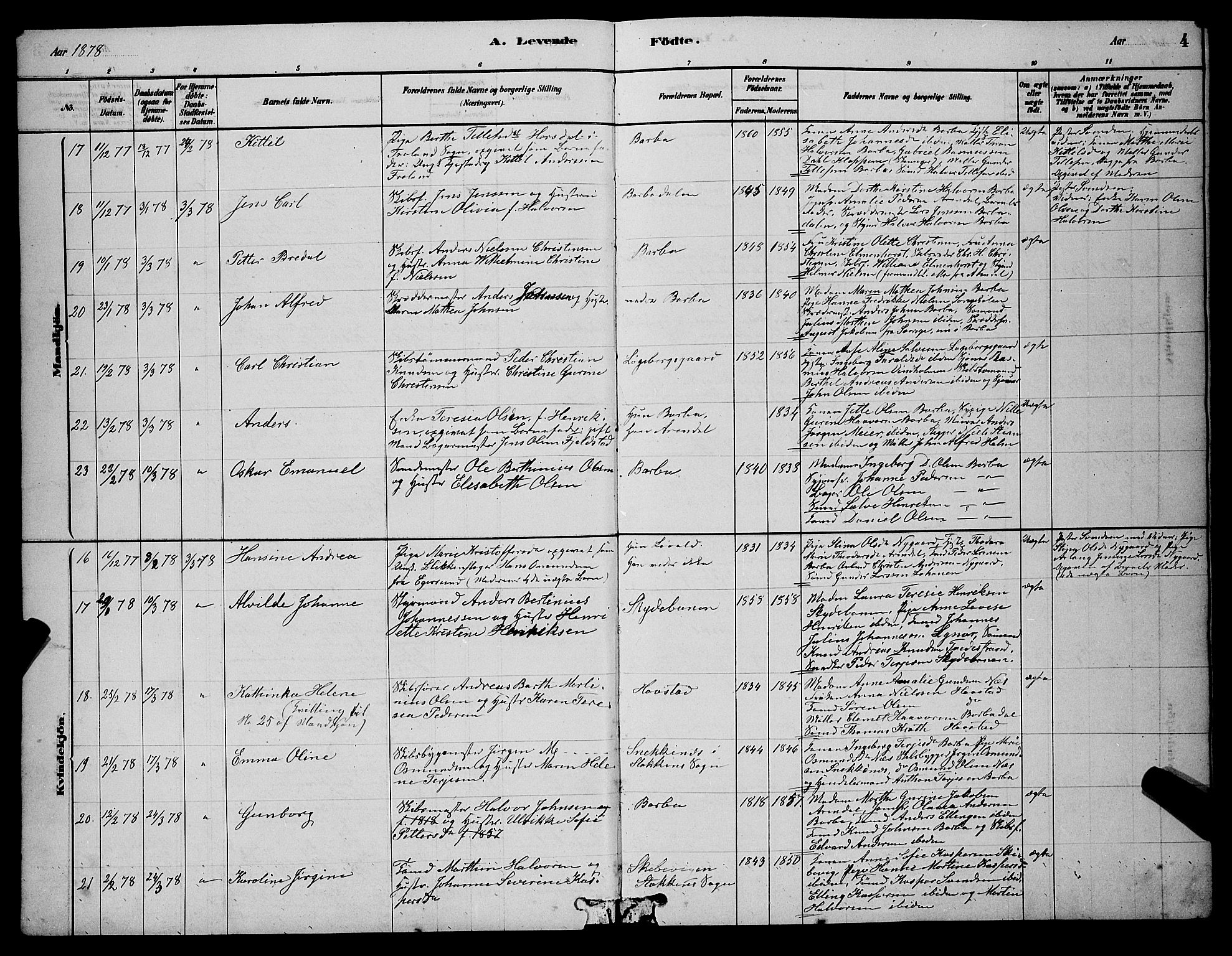 Barbu sokneprestkontor, AV/SAK-1111-0003/F/Fb/L0001: Parish register (copy) no. B 1, 1878-1890, p. 4