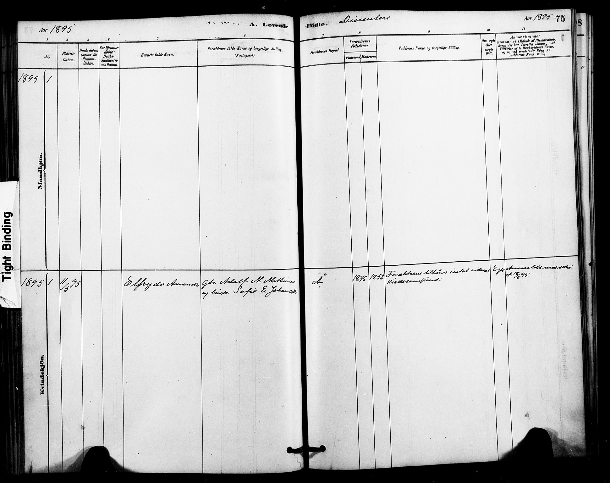 Ministerialprotokoller, klokkerbøker og fødselsregistre - Nordland, AV/SAT-A-1459/897/L1399: Parish register (official) no. 897C06, 1881-1896, p. 75