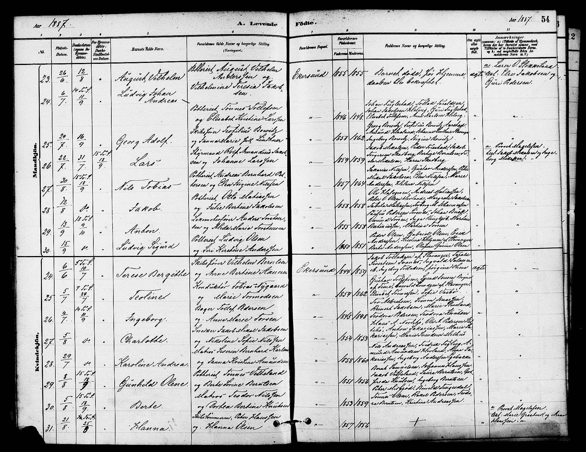 Eigersund sokneprestkontor, AV/SAST-A-101807/S08/L0015: Parish register (official) no. A 15, 1879-1892, p. 54