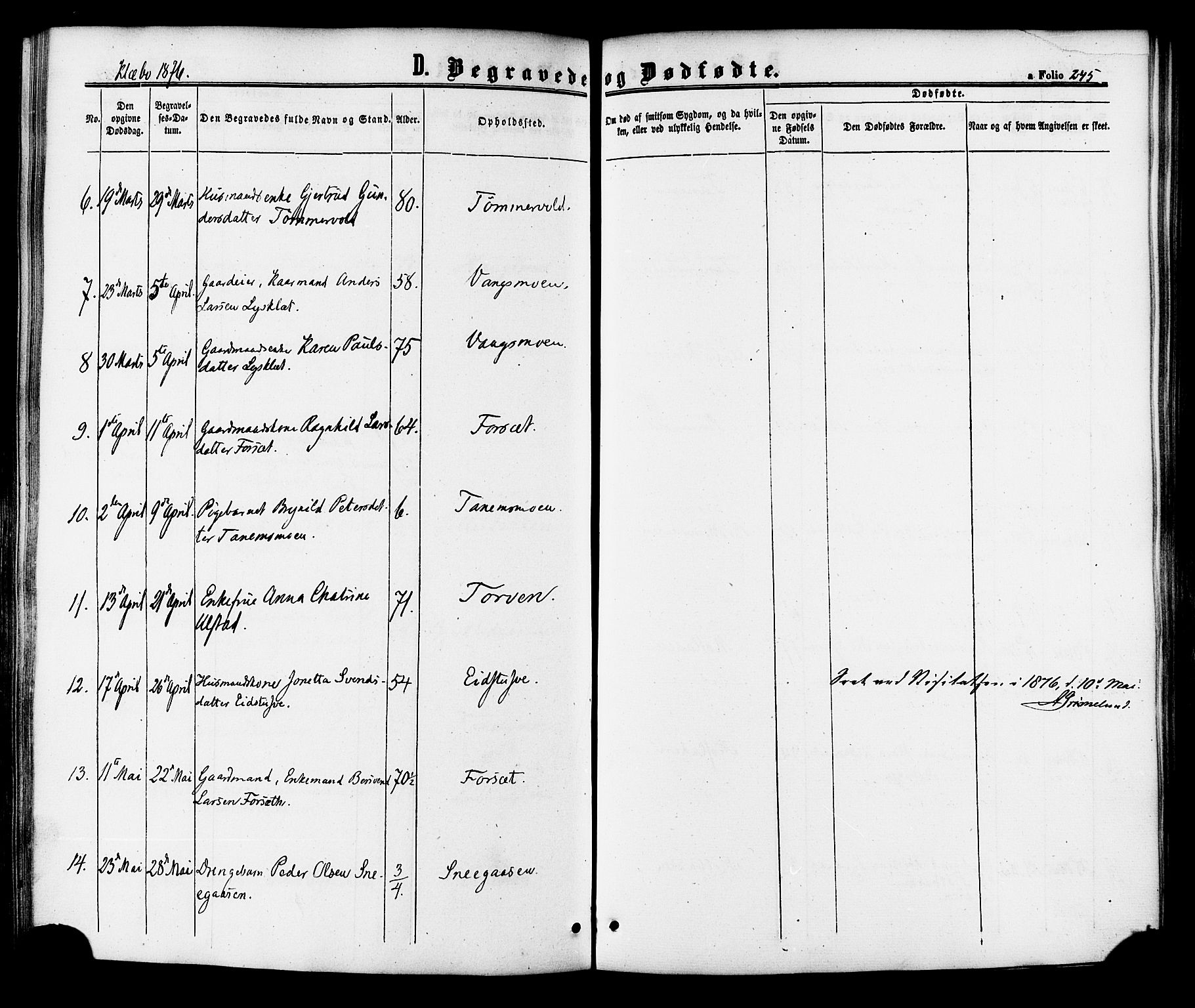 Ministerialprotokoller, klokkerbøker og fødselsregistre - Sør-Trøndelag, AV/SAT-A-1456/618/L0442: Parish register (official) no. 618A06 /1, 1863-1879, p. 245