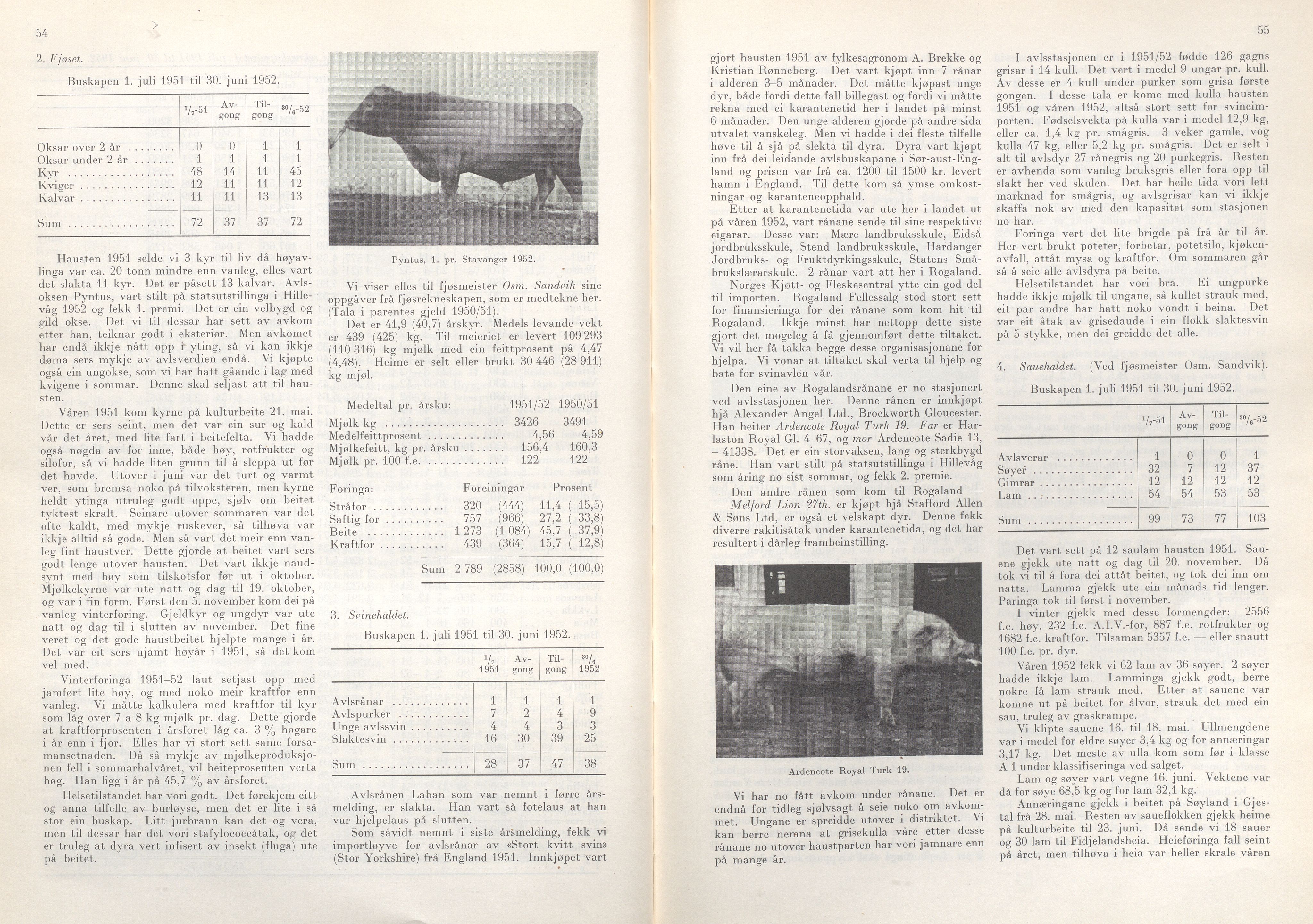 Rogaland fylkeskommune - Fylkesrådmannen , IKAR/A-900/A/Aa/Aaa/L0072: Møtebok , 1953, p. 54-55