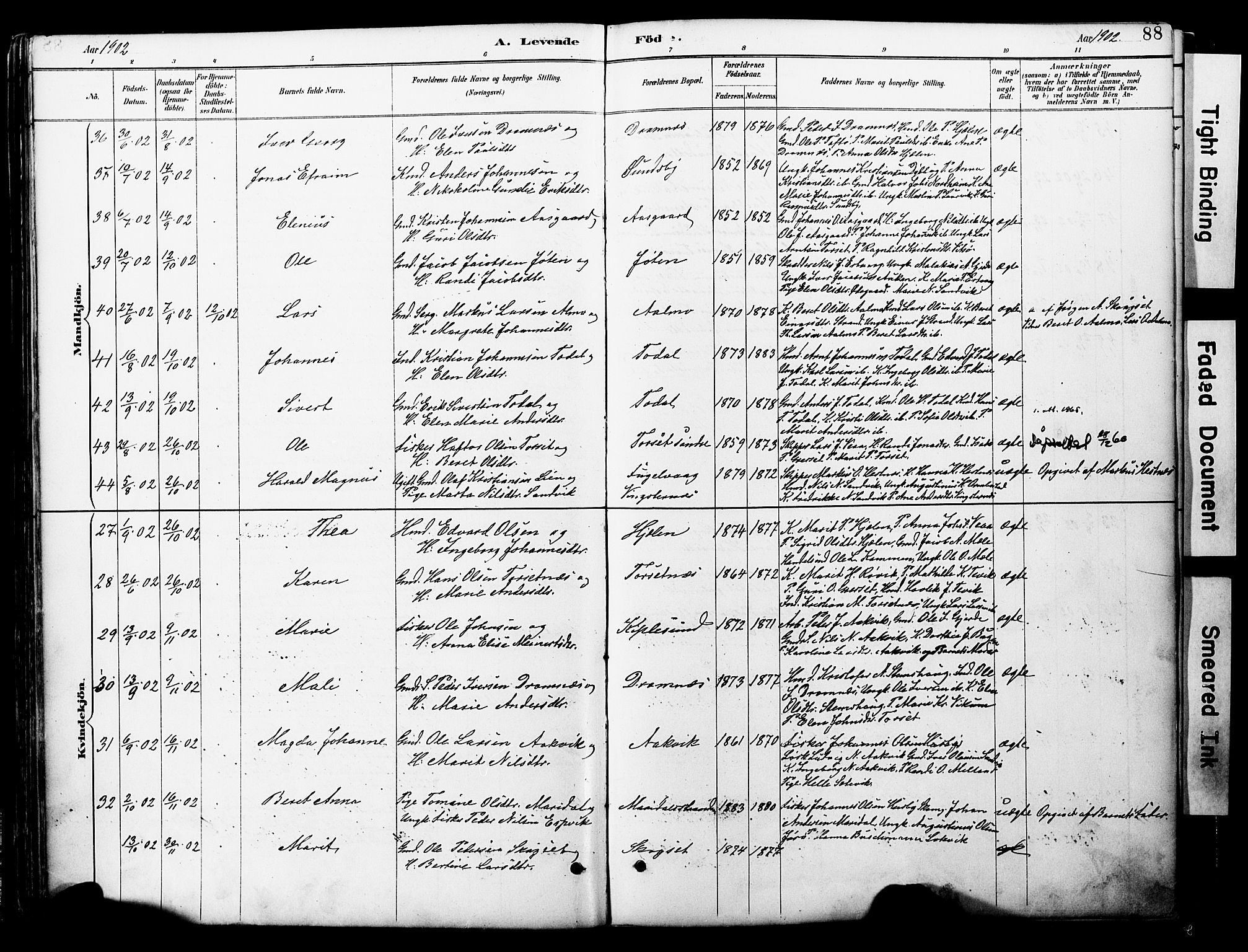 Ministerialprotokoller, klokkerbøker og fødselsregistre - Møre og Romsdal, AV/SAT-A-1454/578/L0907: Parish register (official) no. 578A06, 1887-1904, p. 88