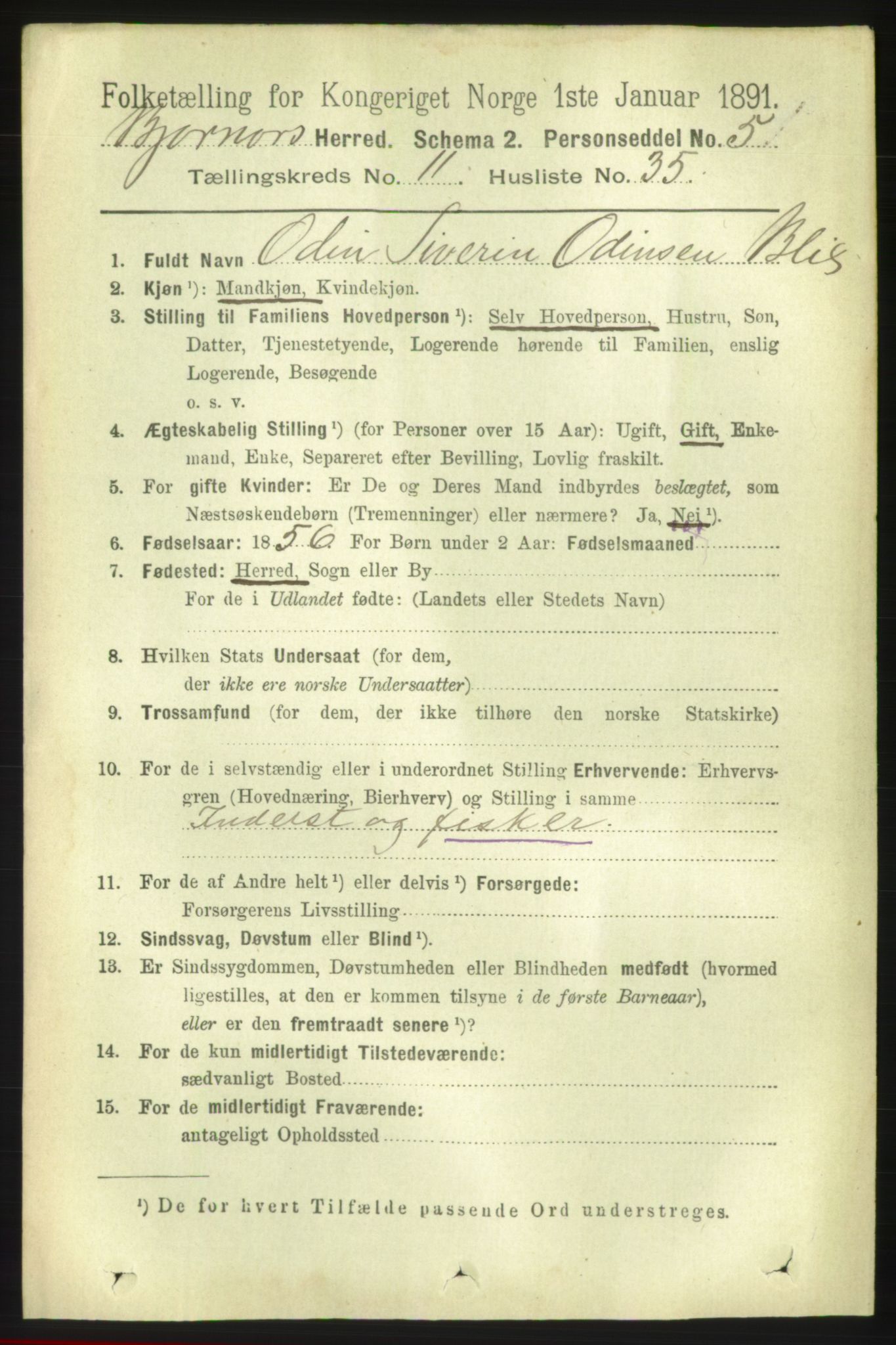 RA, 1891 census for 1632 Bjørnør, 1891, p. 4905