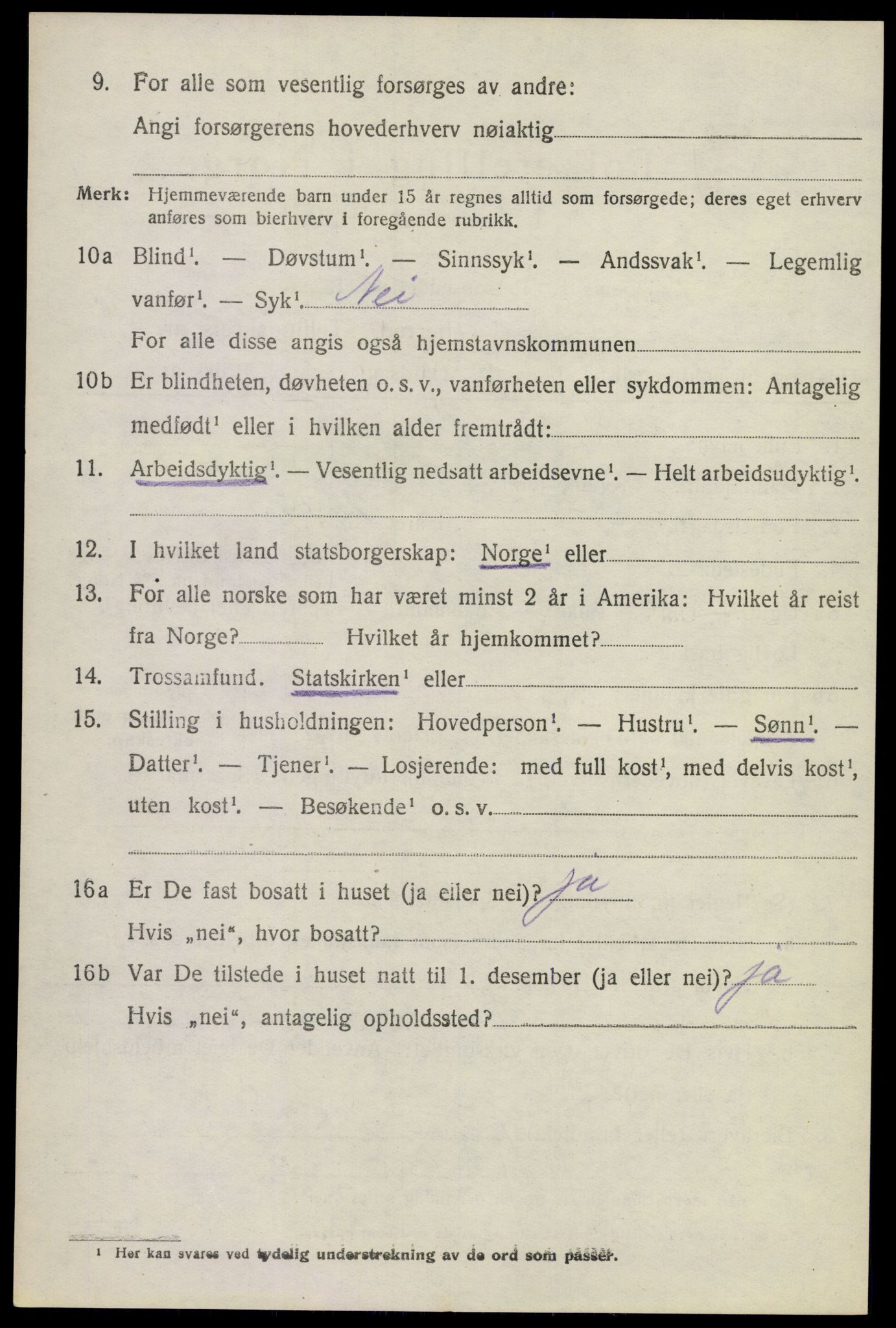 SAKO, 1920 census for Krødsherad, 1920, p. 1156