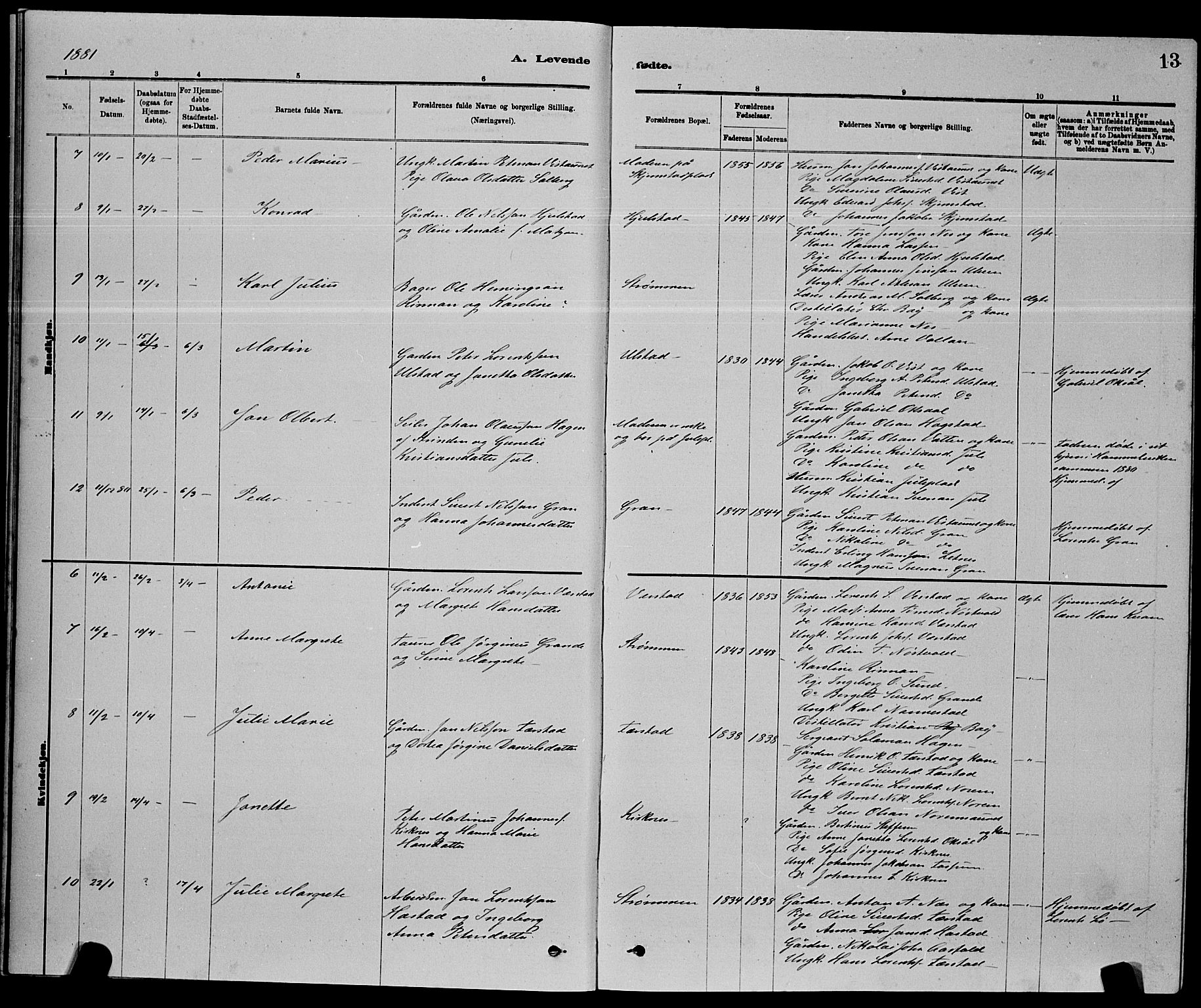 Ministerialprotokoller, klokkerbøker og fødselsregistre - Nord-Trøndelag, AV/SAT-A-1458/730/L0301: Parish register (copy) no. 730C04, 1880-1897, p. 13