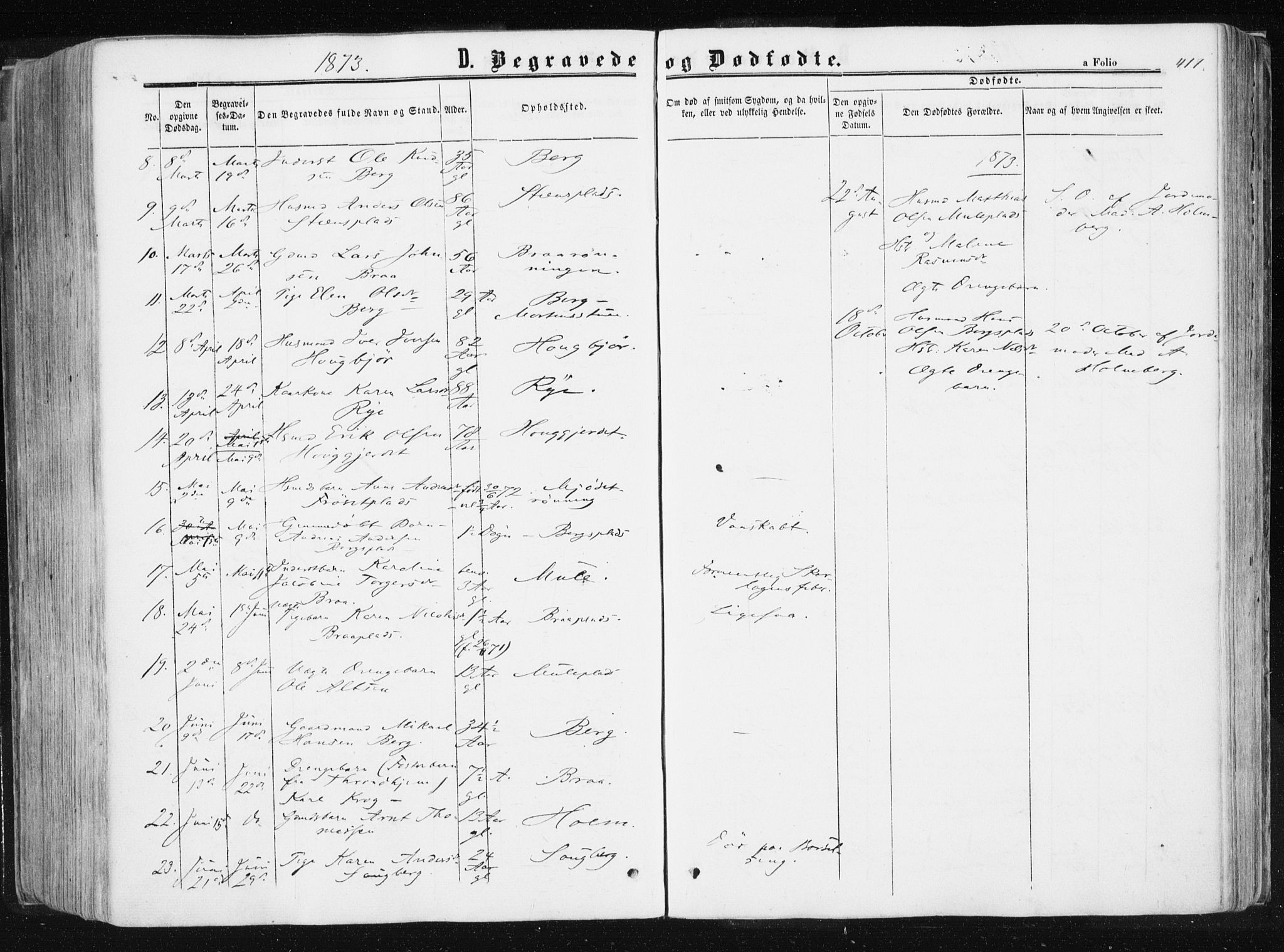 Ministerialprotokoller, klokkerbøker og fødselsregistre - Sør-Trøndelag, SAT/A-1456/612/L0377: Parish register (official) no. 612A09, 1859-1877, p. 417