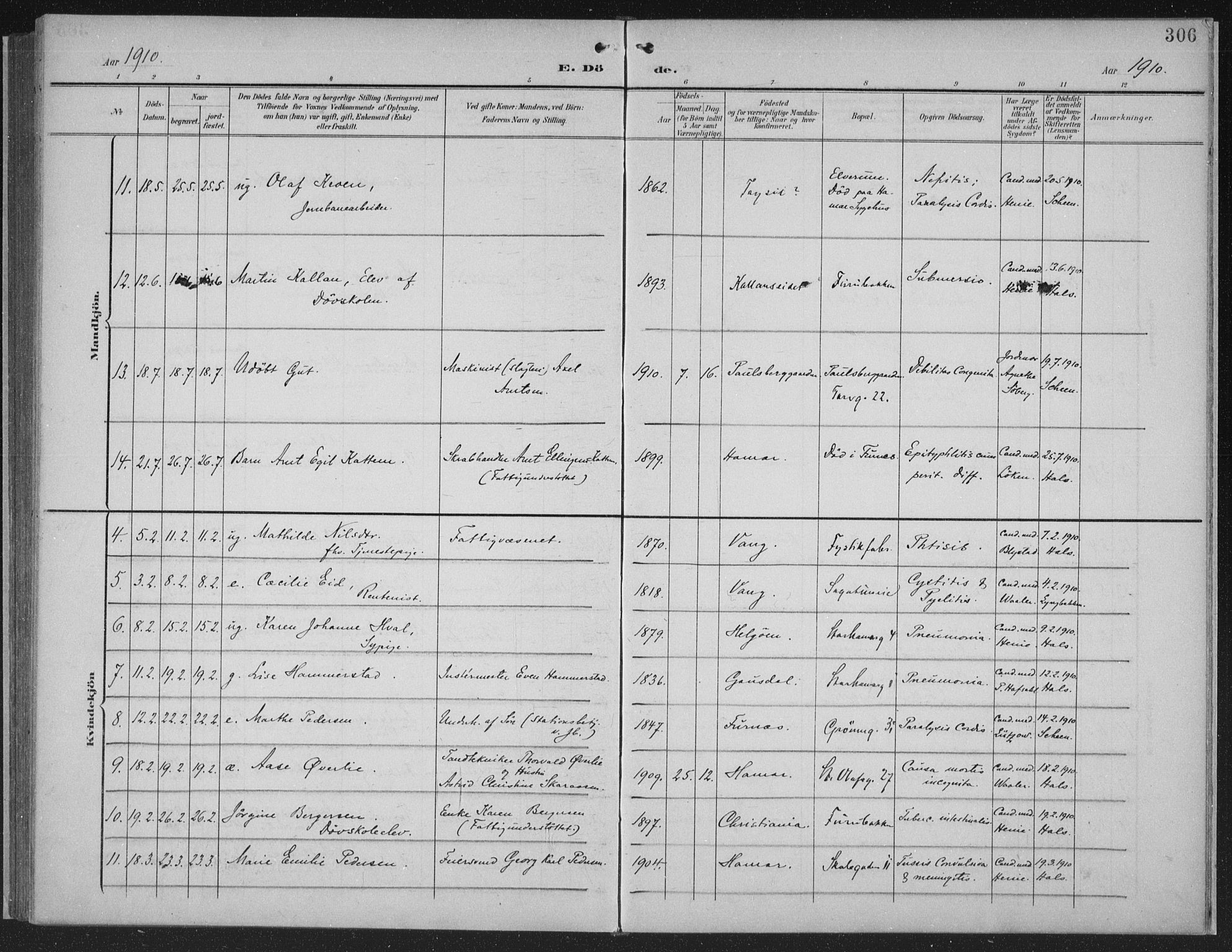 Hamar prestekontor, AV/SAH-DOMPH-002/H/Ha/Haa/L0001: Parish register (official) no. 1, 1900-1914, p. 306