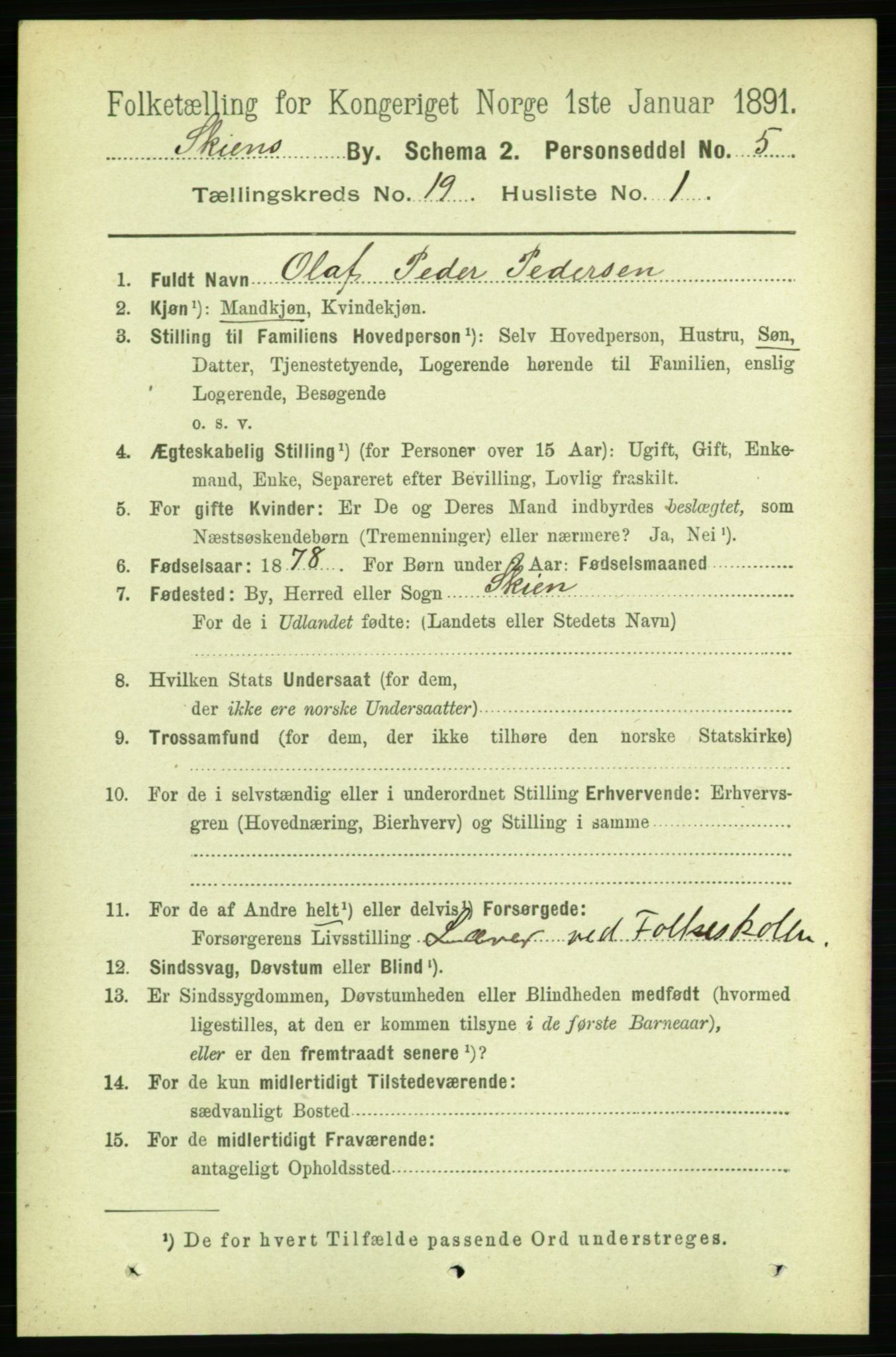 RA, 1891 census for 0806 Skien, 1891, p. 5066