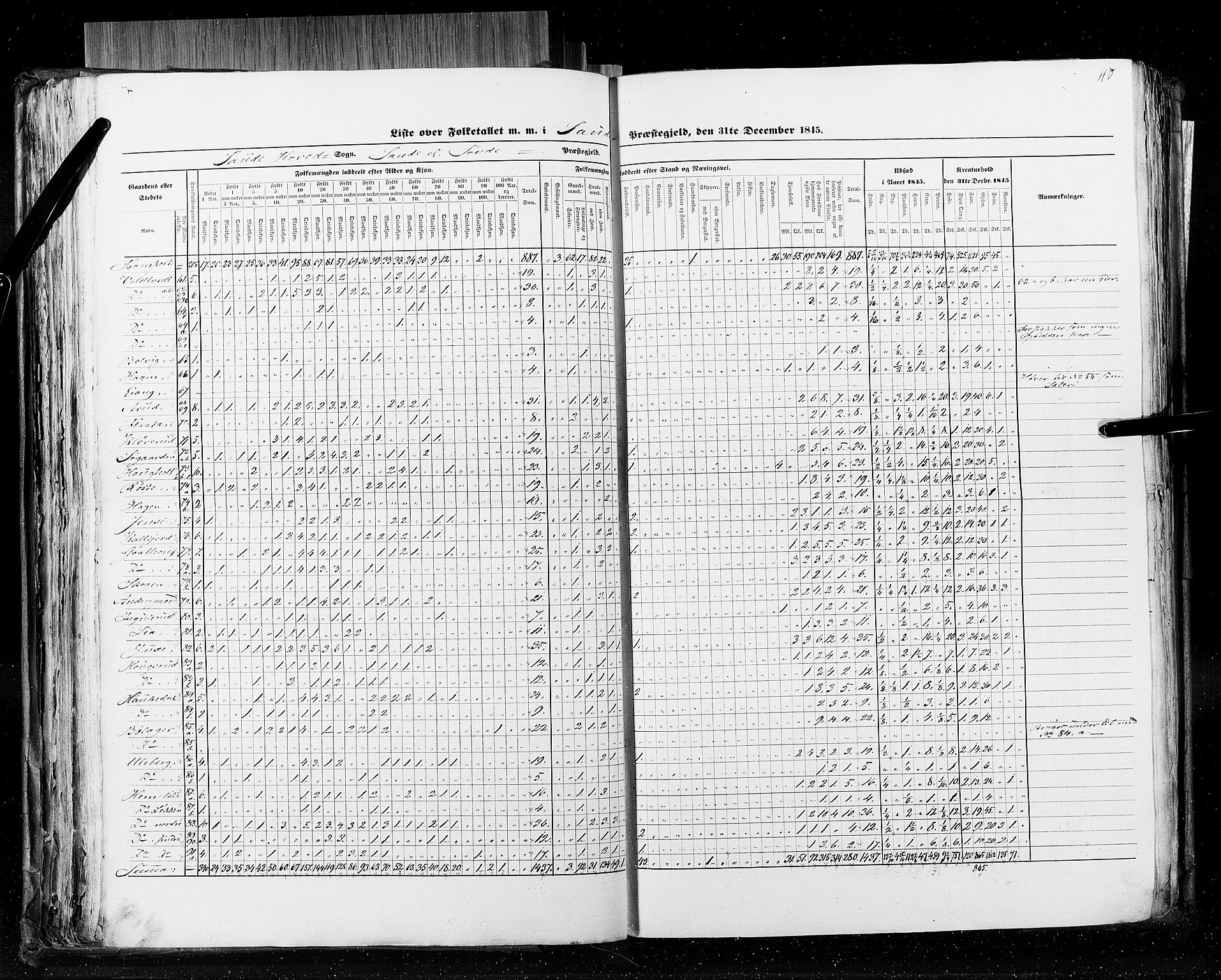 RA, Census 1845, vol. 5: Bratsberg amt og Nedenes og Råbyggelaget amt, 1845, p. 110