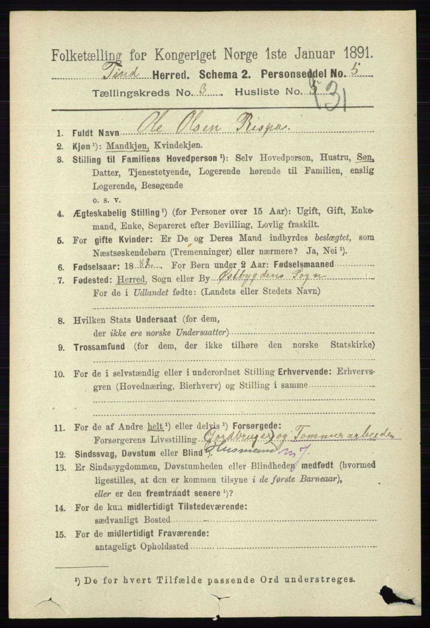 RA, 1891 census for 0826 Tinn, 1891, p. 670