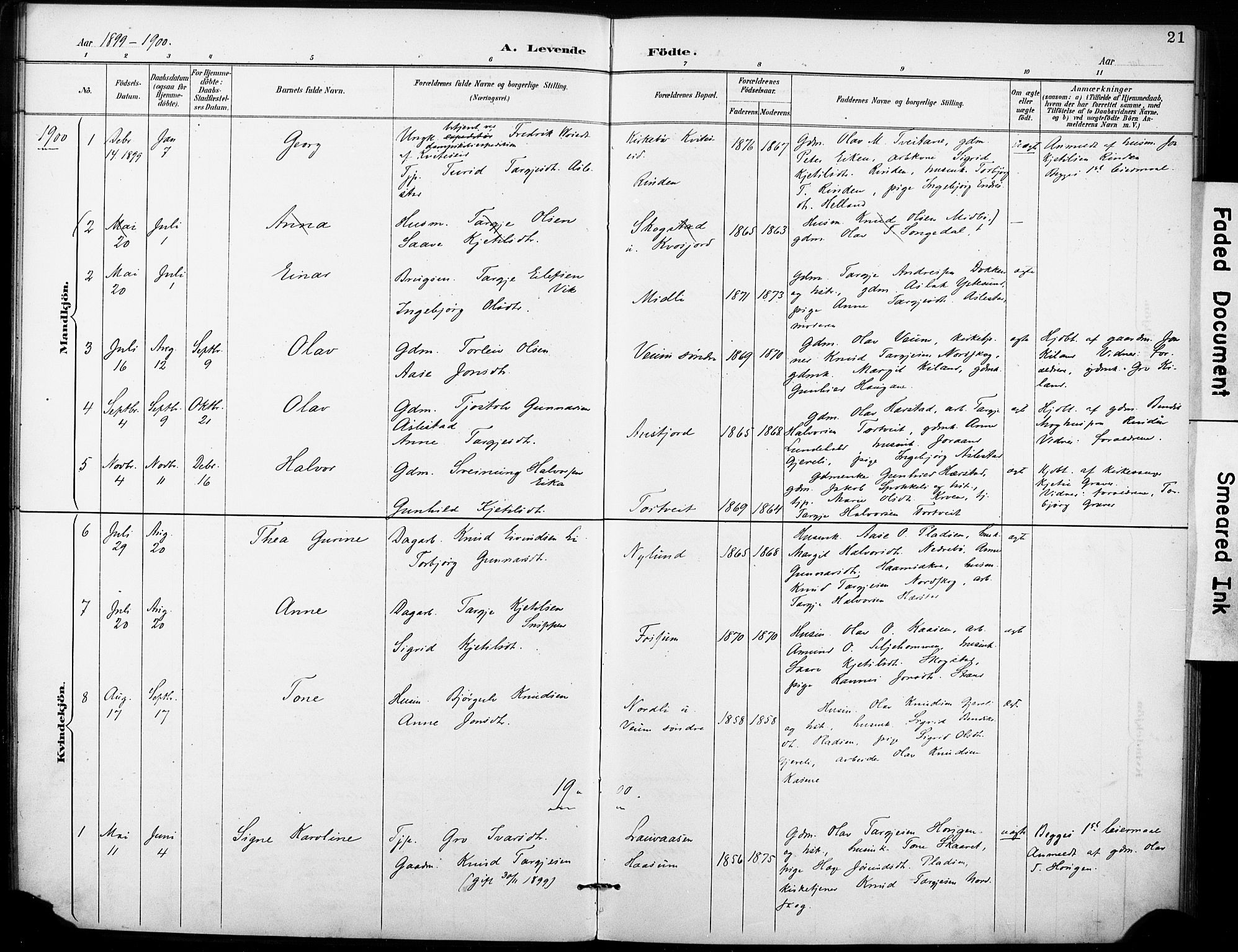 Fyresdal kirkebøker, SAKO/A-263/F/Fb/L0003: Parish register (official) no. II 3, 1887-1903, p. 21