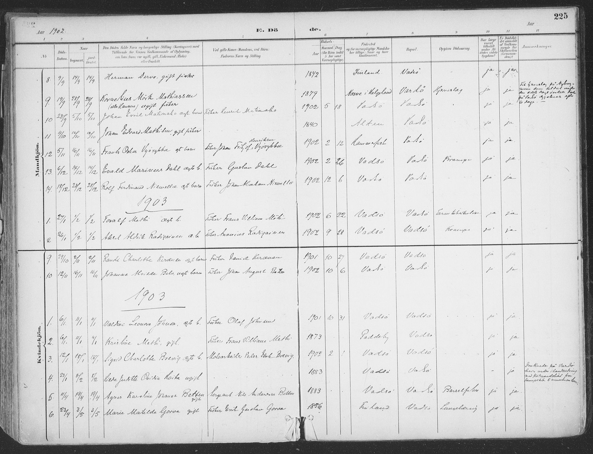 Vadsø sokneprestkontor, SATØ/S-1325/H/Ha/L0007kirke: Parish register (official) no. 7, 1896-1916, p. 225
