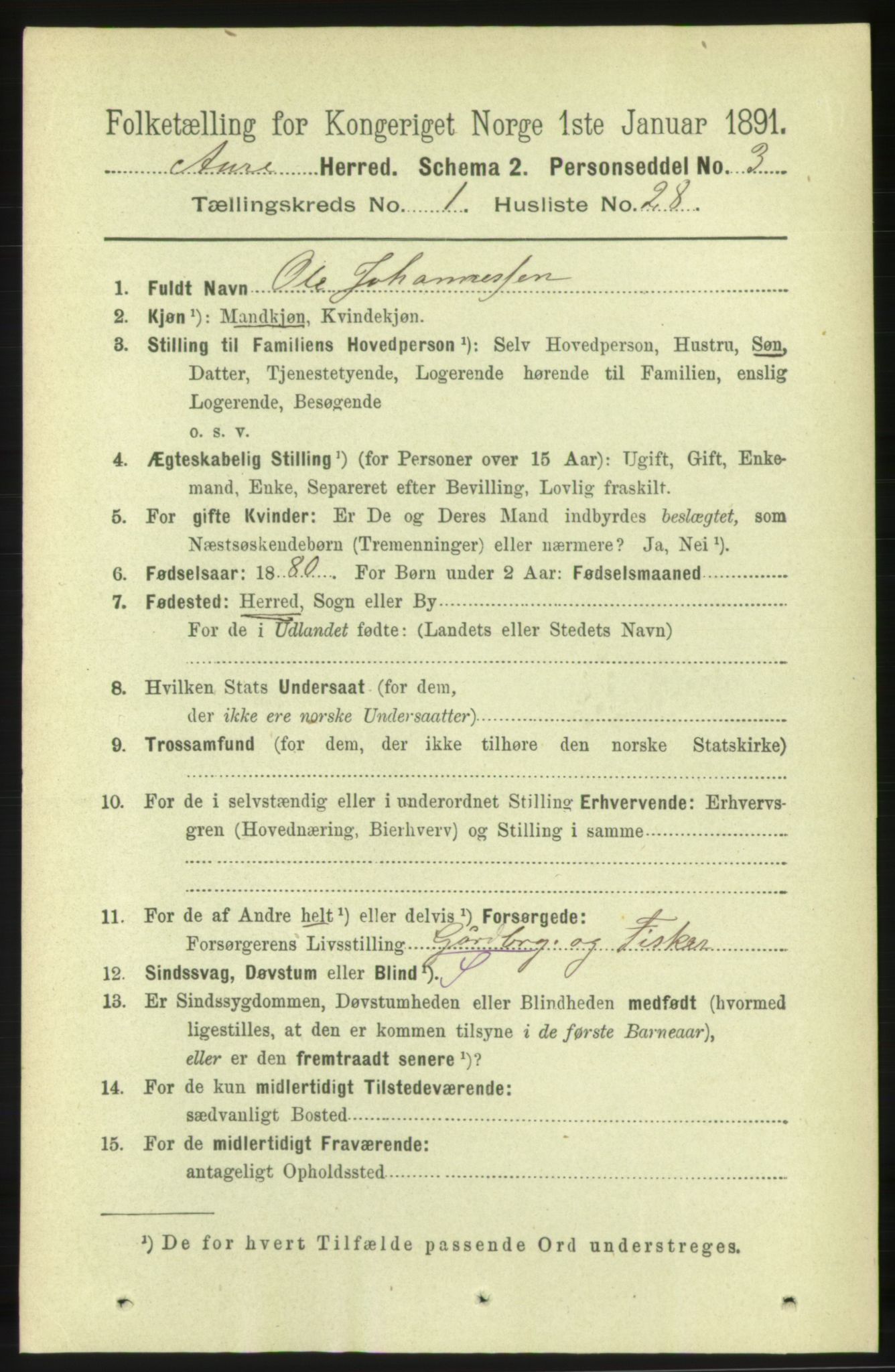 RA, 1891 census for 1569 Aure, 1891, p. 294