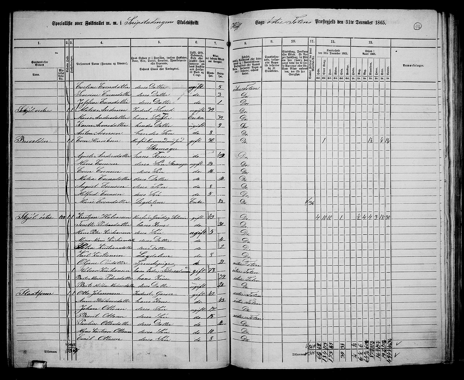 RA, 1865 census for Østre Toten, 1865, p. 236