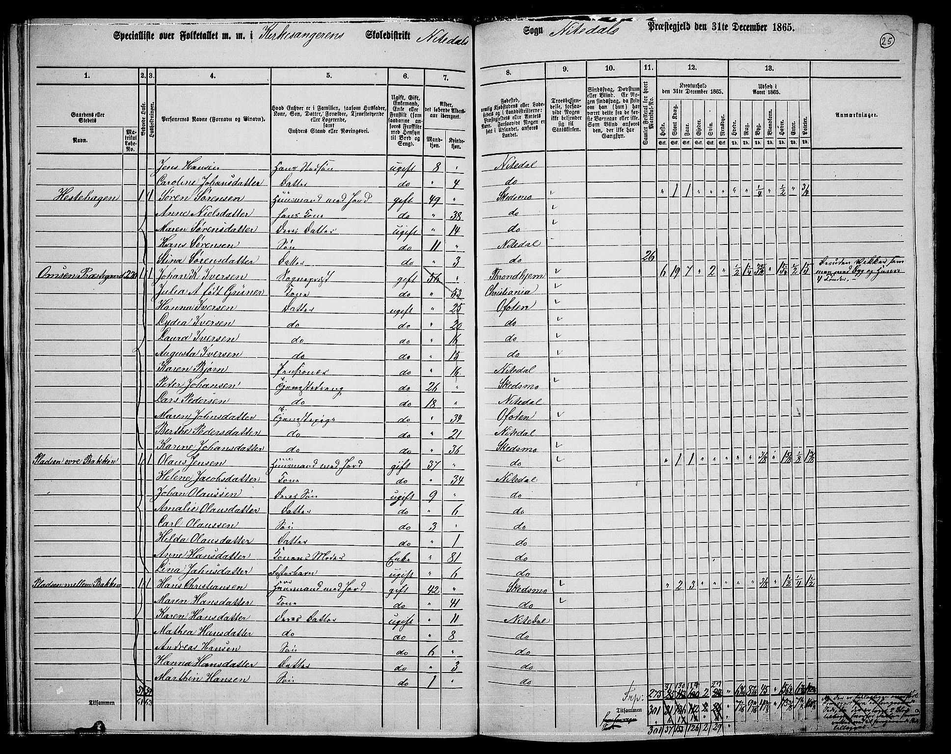 RA, 1865 census for Nittedal, 1865, p. 26