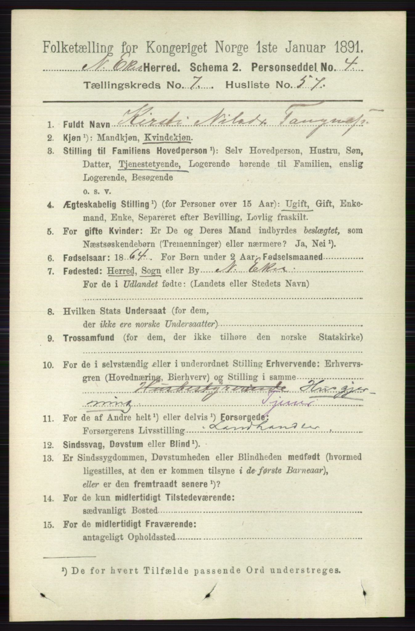 RA, 1891 census for 0625 Nedre Eiker, 1891, p. 3815