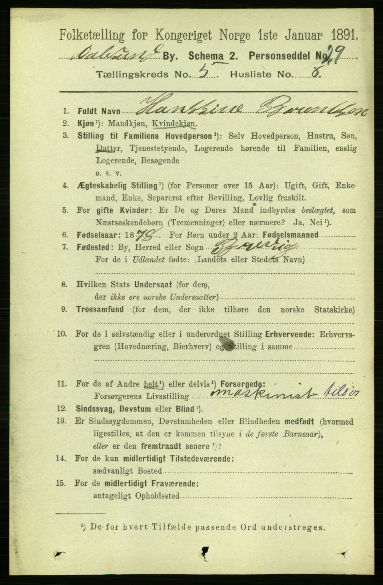 RA, 1891 census for 1501 Ålesund, 1891, p. 3718