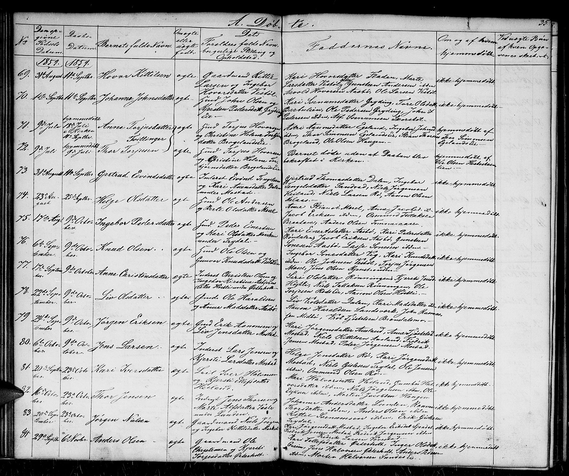 Gjerstad sokneprestkontor, AV/SAK-1111-0014/F/Fb/Fba/L0005: Parish register (copy) no. B 5, 1853-1867, p. 35