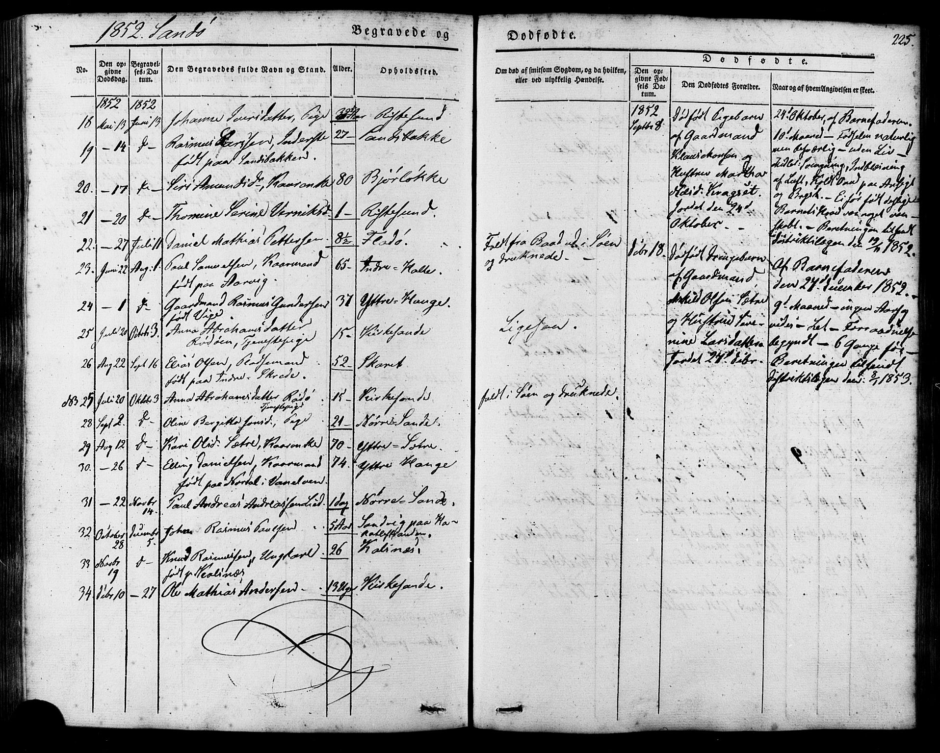 Ministerialprotokoller, klokkerbøker og fødselsregistre - Møre og Romsdal, AV/SAT-A-1454/503/L0034: Parish register (official) no. 503A02, 1841-1884, p. 225