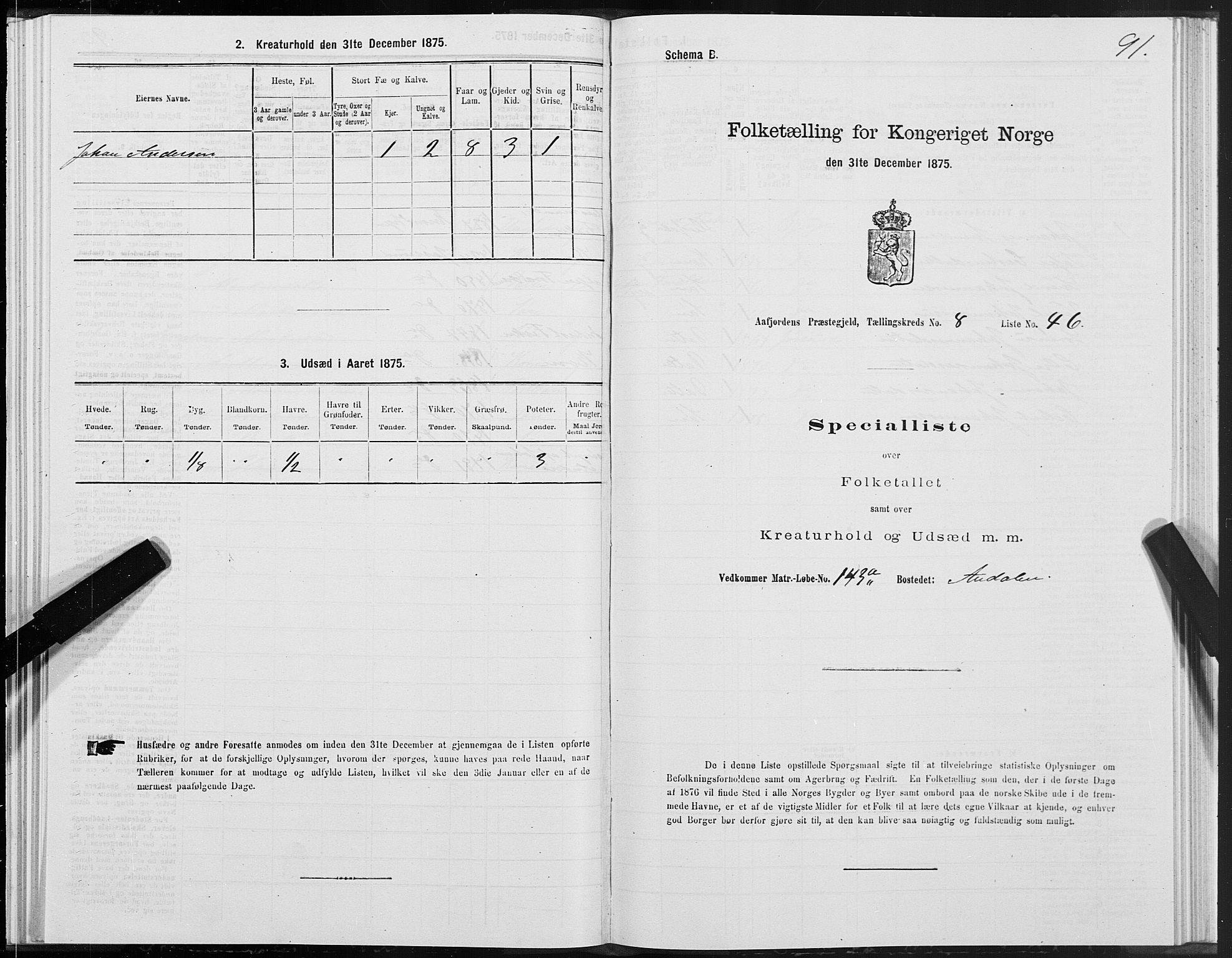 SAT, 1875 census for 1630P Aafjorden, 1875, p. 4091