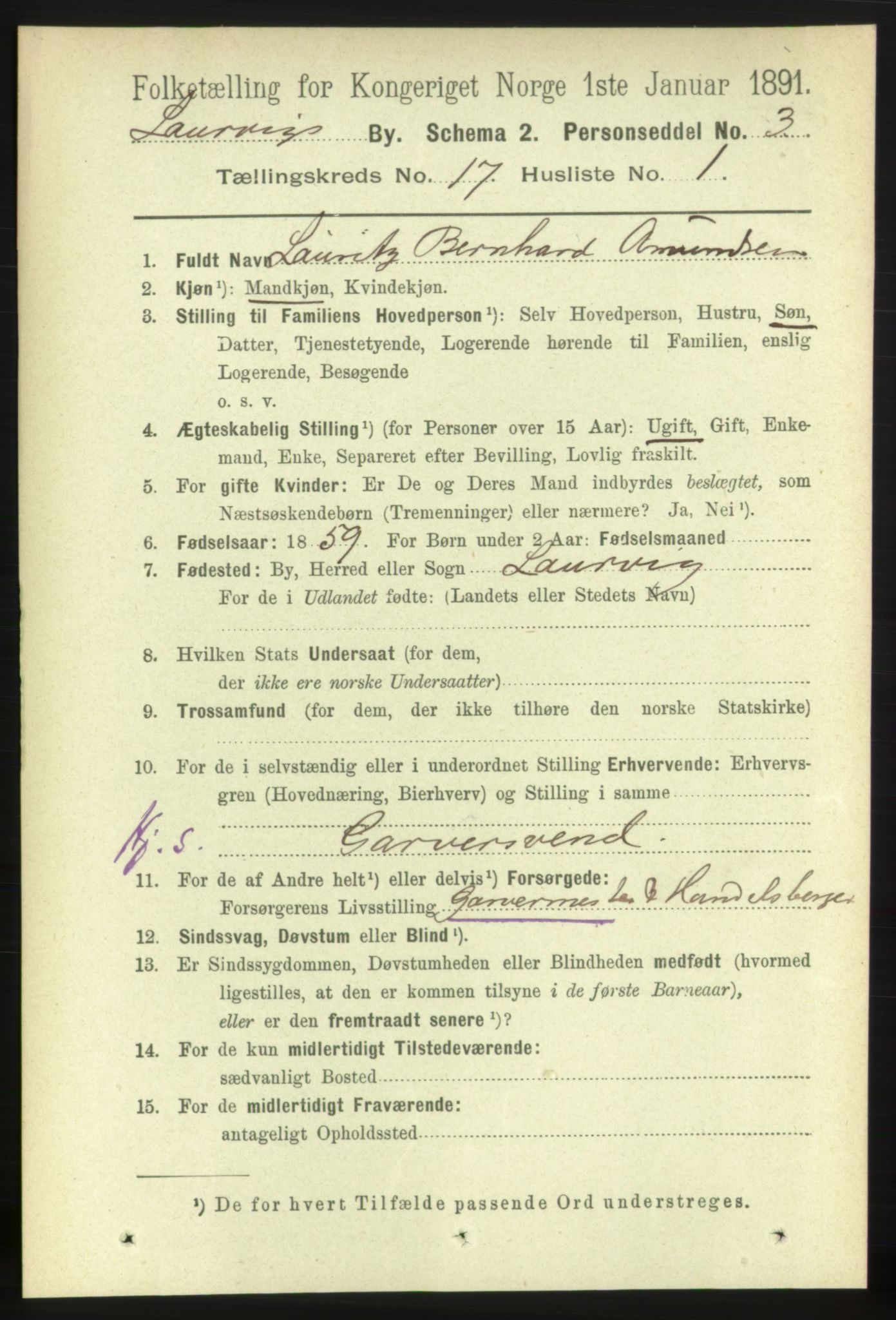 RA, 1891 census for 0707 Larvik, 1891, p. 12340