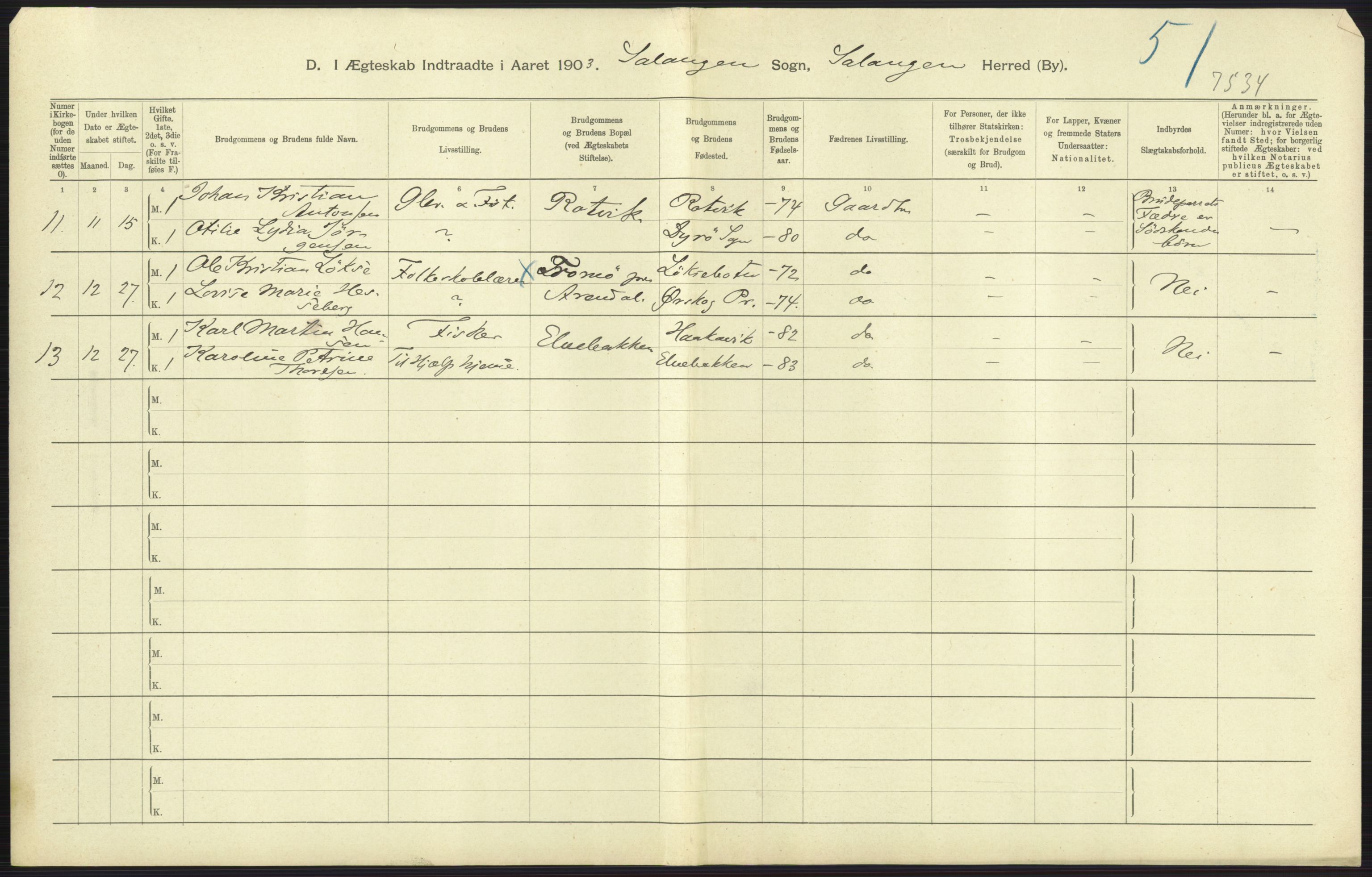 Statistisk sentralbyrå, Sosiodemografiske emner, Befolkning, AV/RA-S-2228/D/Df/Dfa/Dfaa/L0021: Tromsø amt: Fødte, gifte, døde., 1903, p. 347