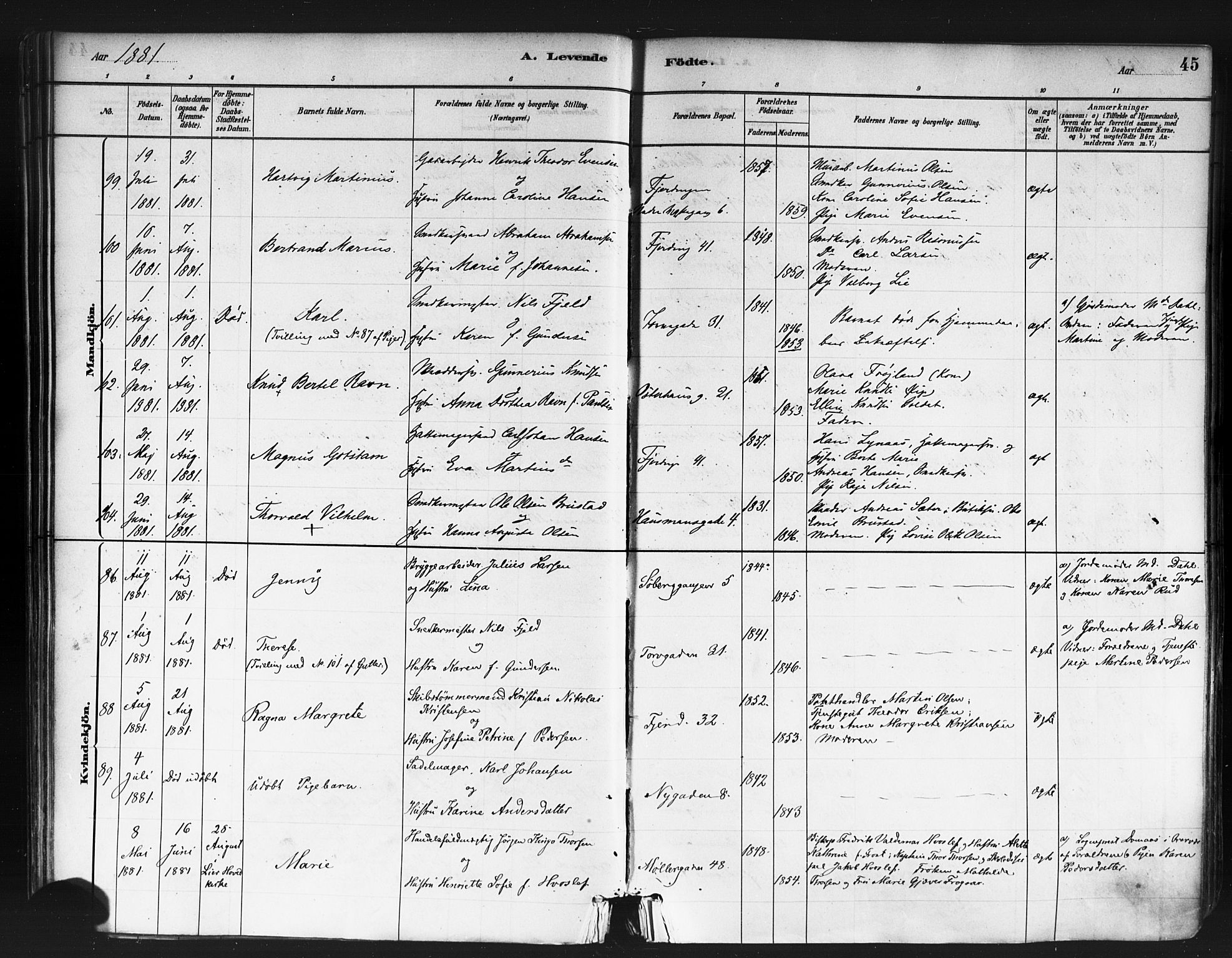 Jakob prestekontor Kirkebøker, AV/SAO-A-10850/F/Fa/L0003: Parish register (official) no. 3, 1880-1895, p. 45