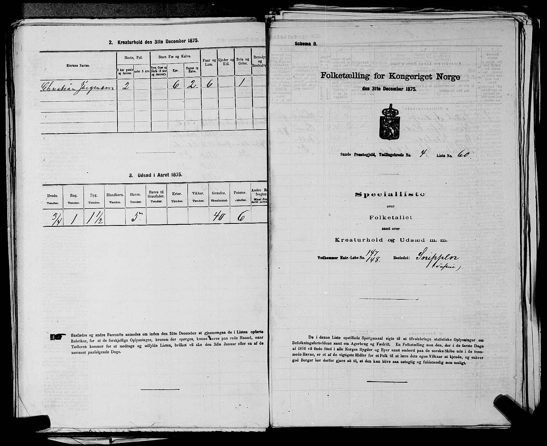 SAKO, 1875 census for 0713P Sande, 1875, p. 802