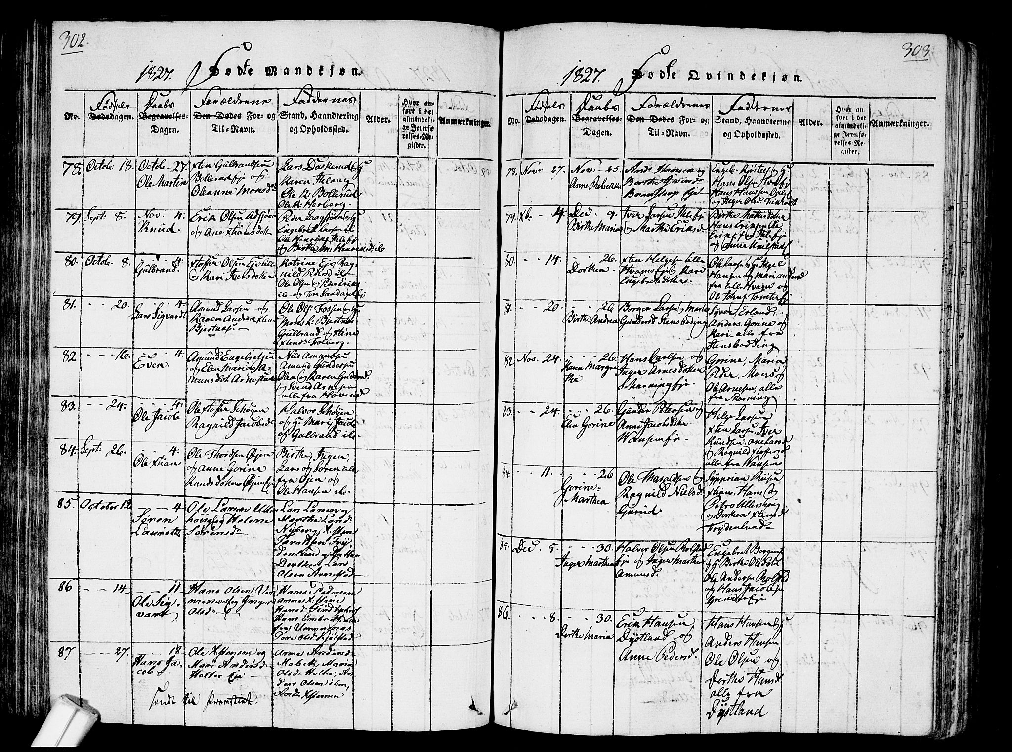 Nes prestekontor Kirkebøker, AV/SAO-A-10410/G/Ga/L0001: Parish register (copy) no. I 1, 1815-1835, p. 302-303