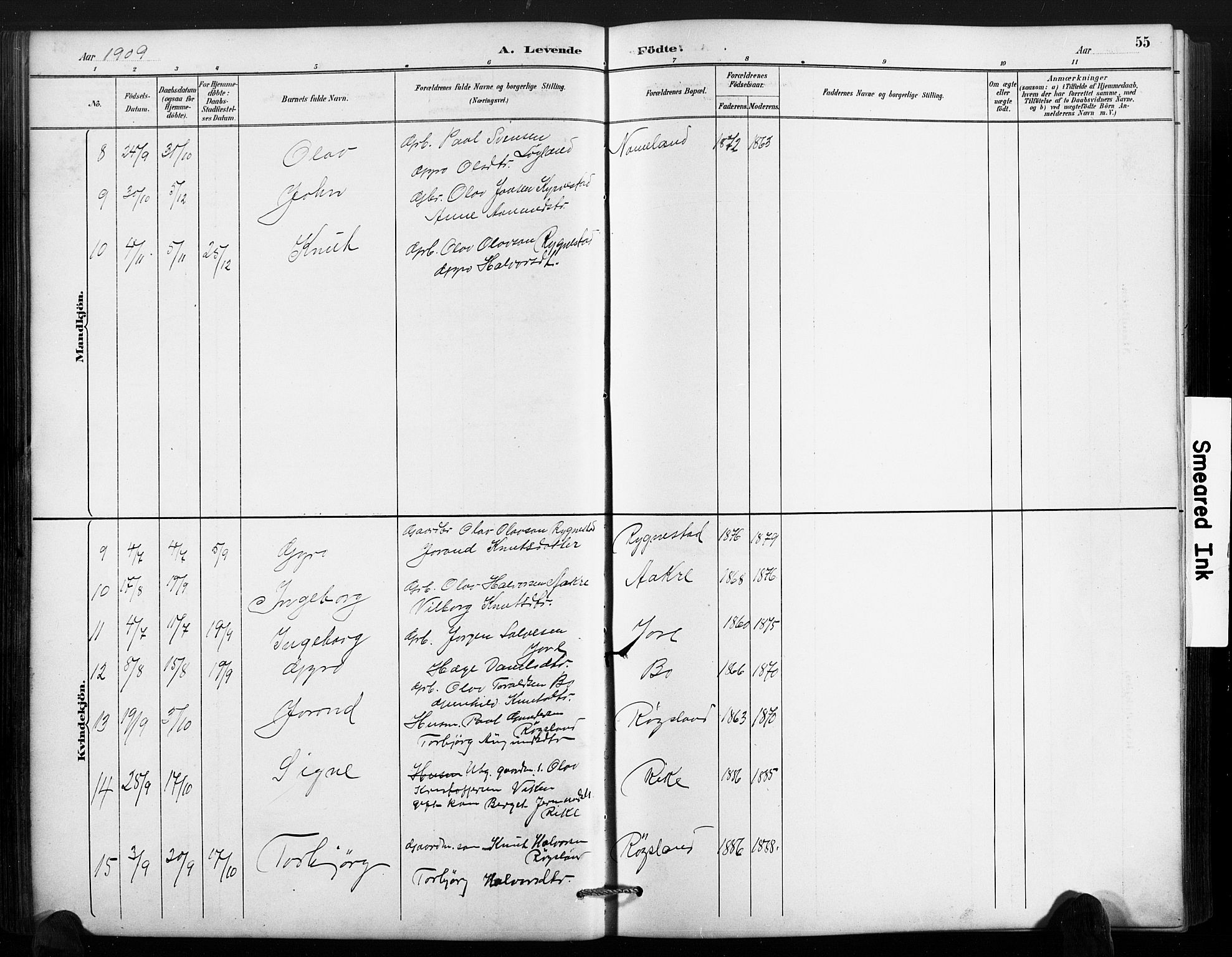 Valle sokneprestkontor, SAK/1111-0044/F/Fb/Fbc/L0004: Parish register (copy) no. B 4, 1890-1928, p. 55
