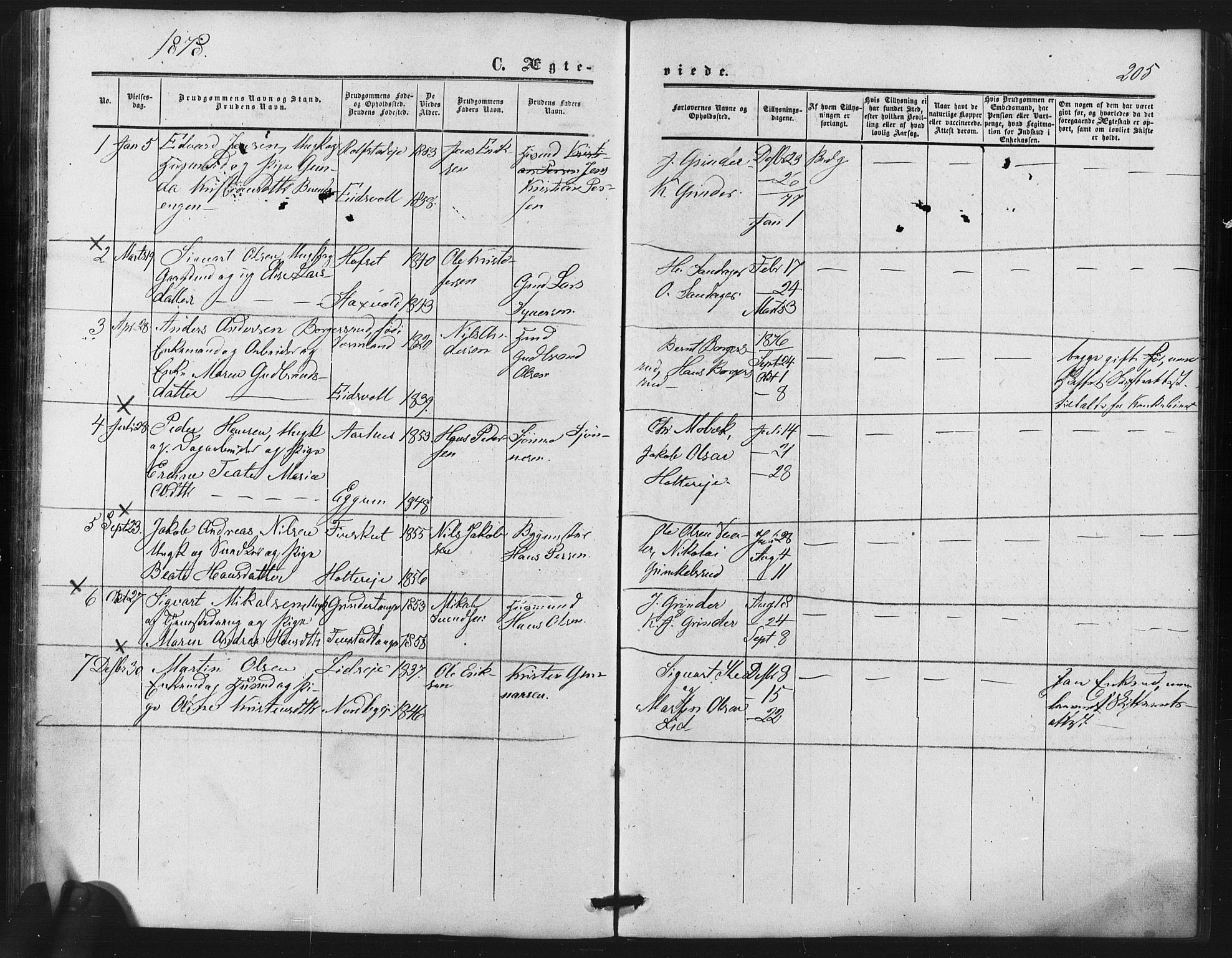 Nes prestekontor Kirkebøker, SAO/A-10410/F/Fb/L0001: Parish register (official) no. II 1, 1859-1882, p. 205