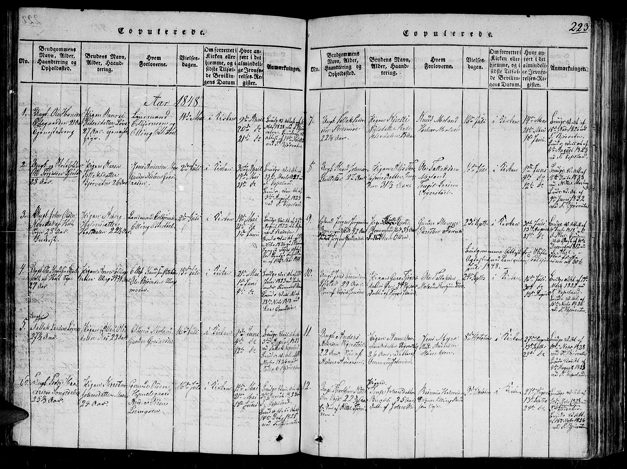 Gjerstad sokneprestkontor, AV/SAK-1111-0014/F/Fb/Fbb/L0001: Parish register (copy) no. B 1, 1813-1863, p. 223