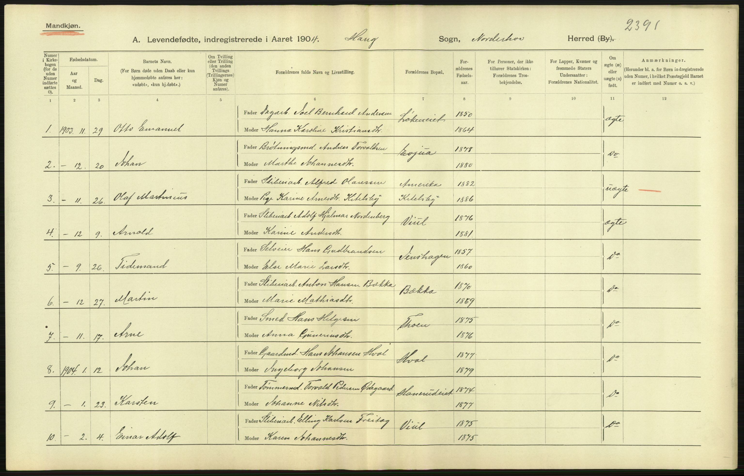 Statistisk sentralbyrå, Sosiodemografiske emner, Befolkning, AV/RA-S-2228/D/Df/Dfa/Dfab/L0007: Buskerud amt: Fødte, gifte, døde, 1904, p. 29