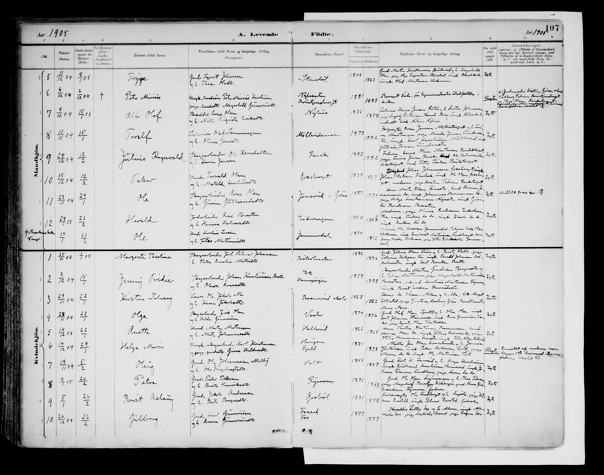 Brandval prestekontor, SAH/PREST-034/H/Ha/Haa/L0003: Parish register (official) no. 3, 1894-1909, p. 107