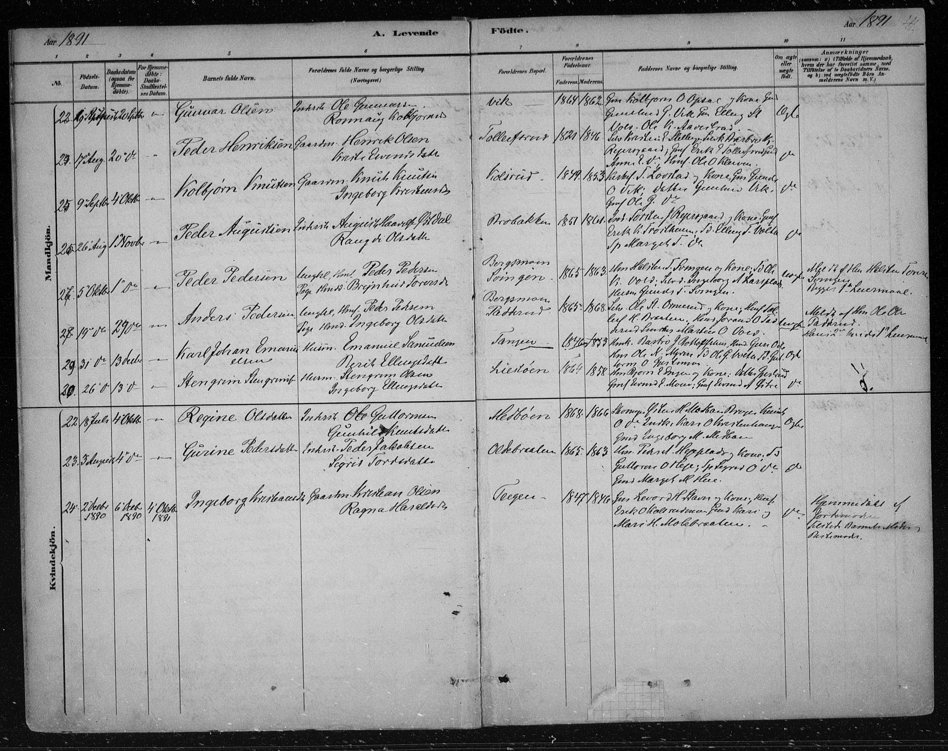 Nes kirkebøker, AV/SAKO-A-236/F/Fa/L0012: Parish register (official) no. 12, 1881-1917, p. 41