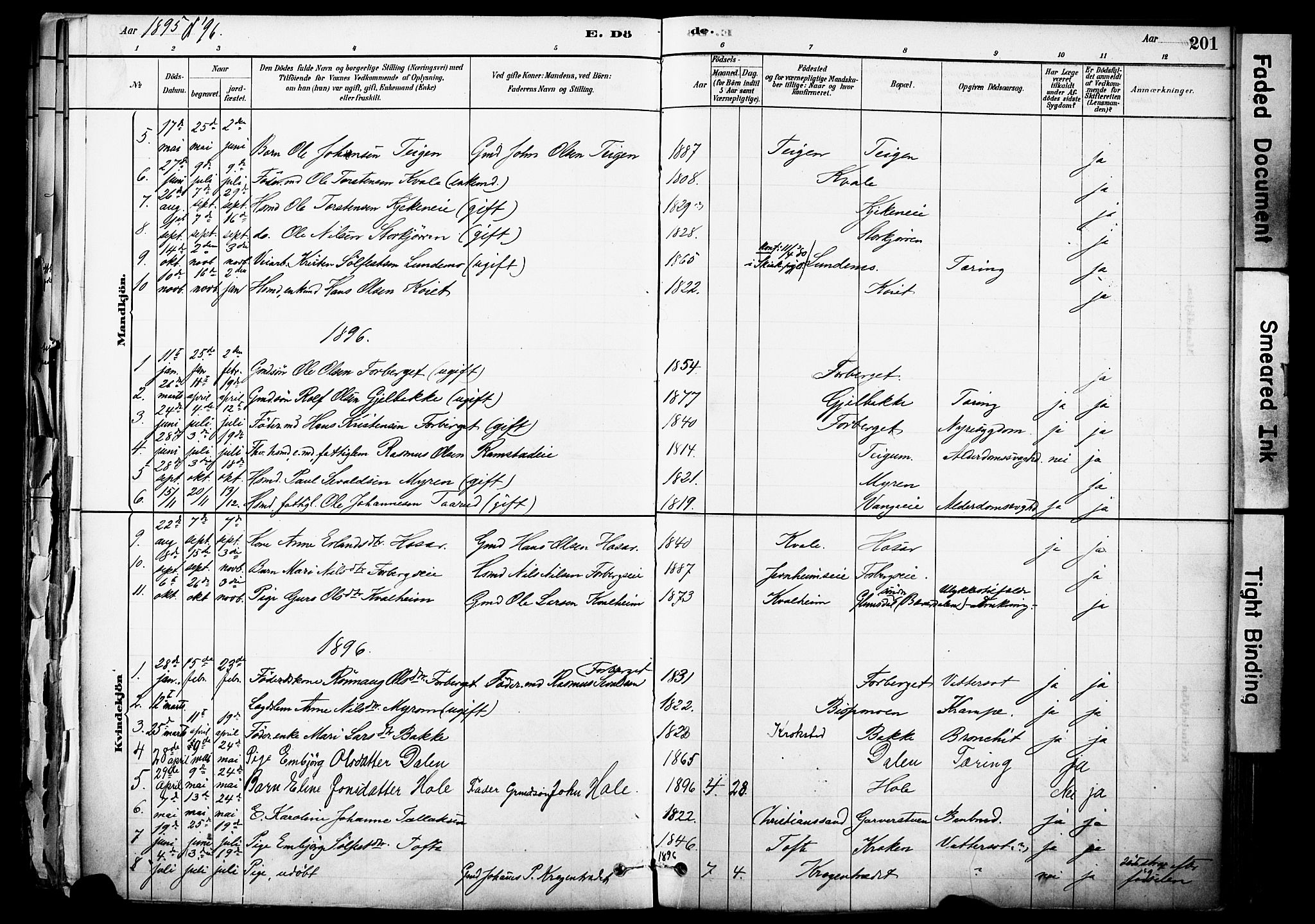 Skjåk prestekontor, SAH/PREST-072/H/Ha/Haa/L0003: Parish register (official) no. 3, 1880-1907, p. 201