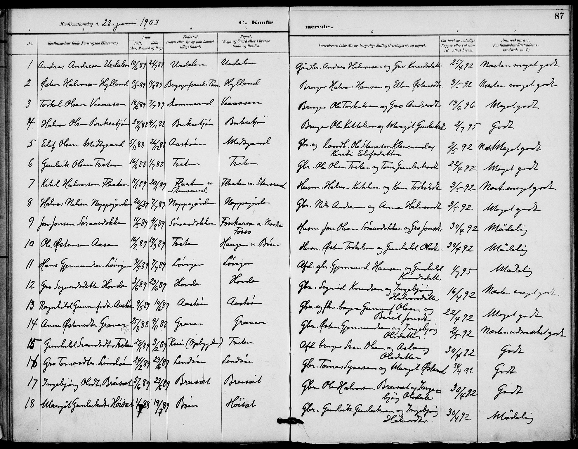 Gransherad kirkebøker, SAKO/A-267/F/Fb/L0005: Parish register (official) no. II 5, 1887-1916, p. 87
