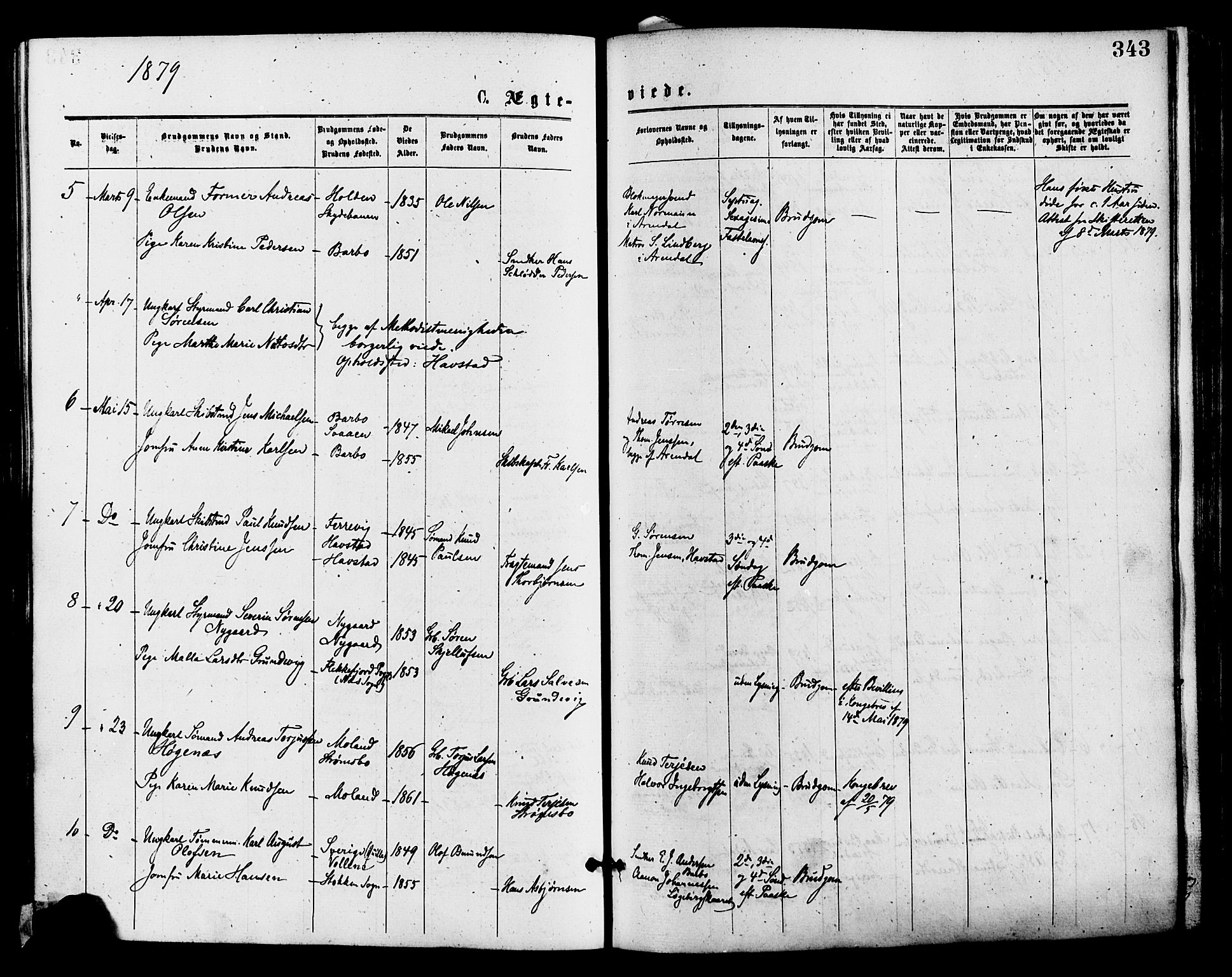 Barbu sokneprestkontor, AV/SAK-1111-0003/F/Fa/L0001: Parish register (official) no. A 1 /1, 1878-1883, p. 343