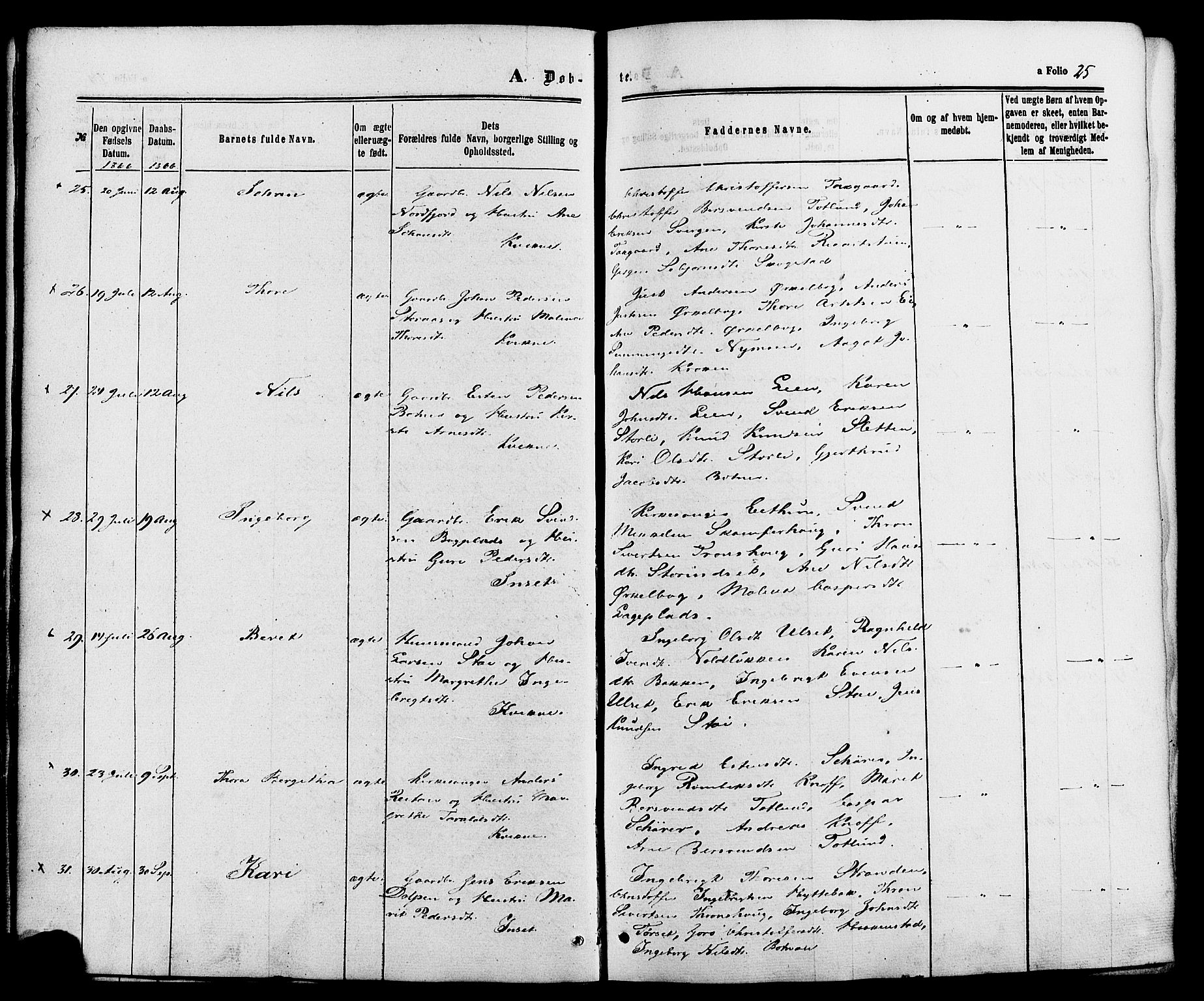 Kvikne prestekontor, AV/SAH-PREST-064/H/Ha/Haa/L0006: Parish register (official) no. 6, 1863-1886, p. 25