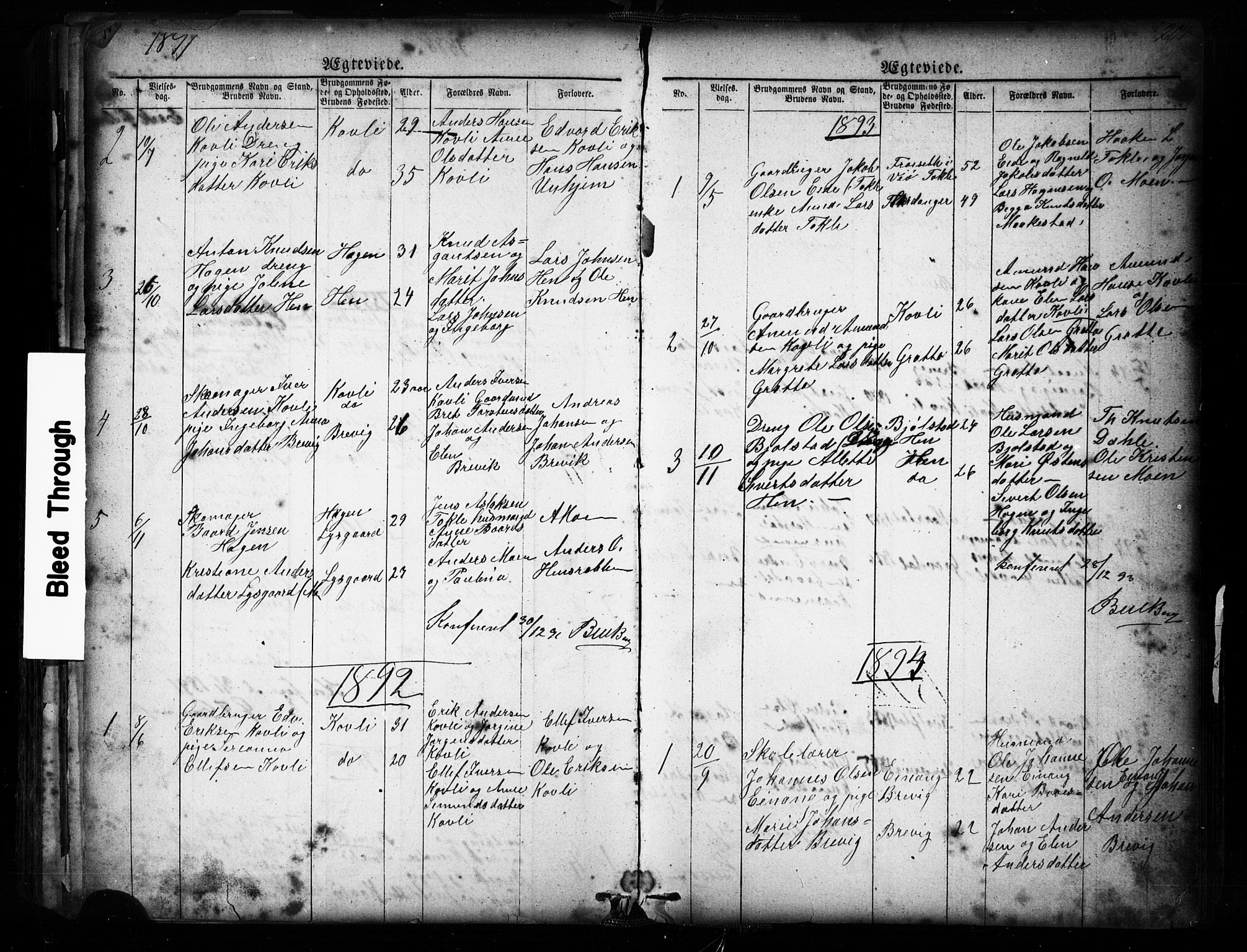 Ministerialprotokoller, klokkerbøker og fødselsregistre - Møre og Romsdal, SAT/A-1454/545/L0588: Parish register (copy) no. 545C02, 1867-1902, p. 201