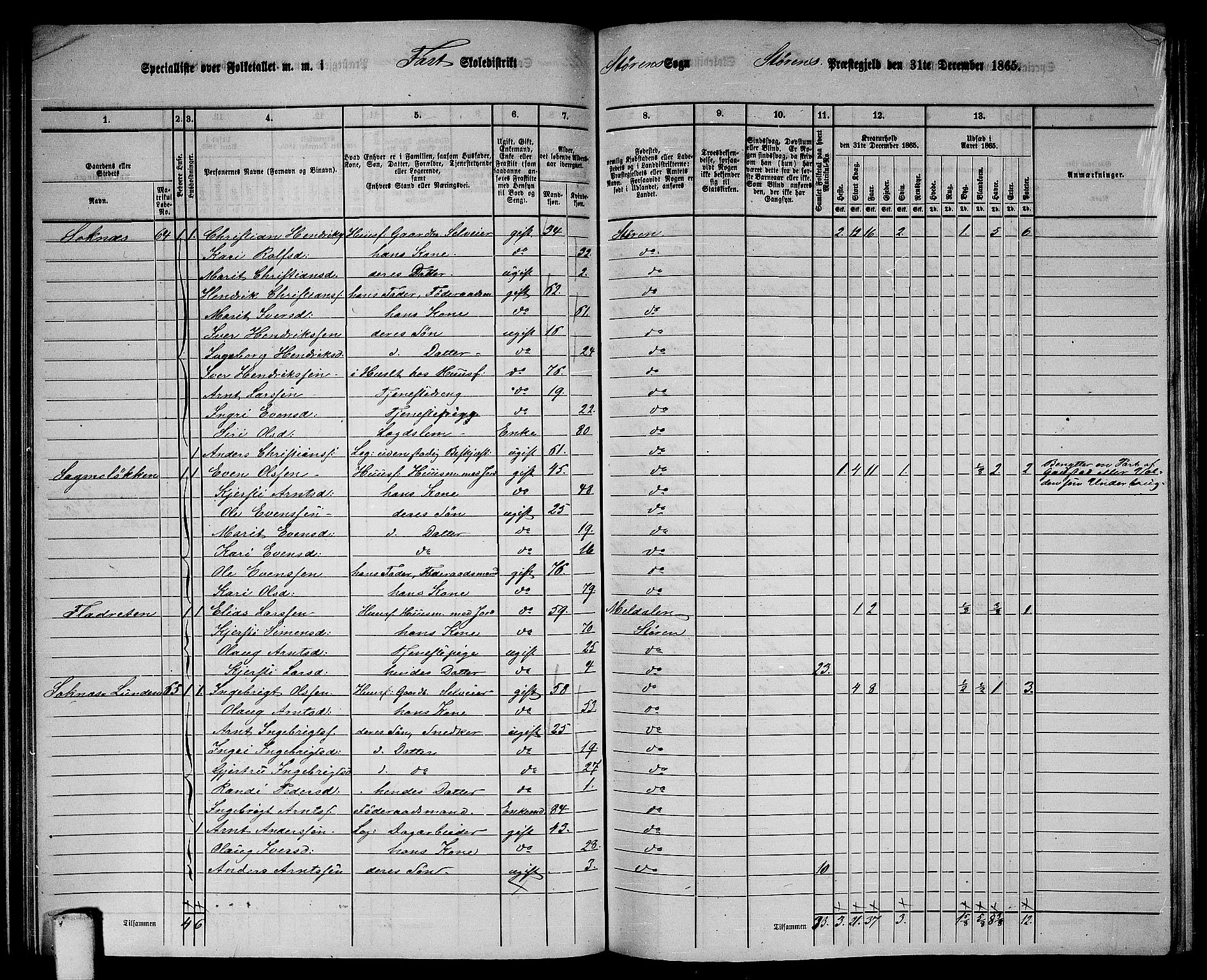 RA, 1865 census for Støren, 1865, p. 107