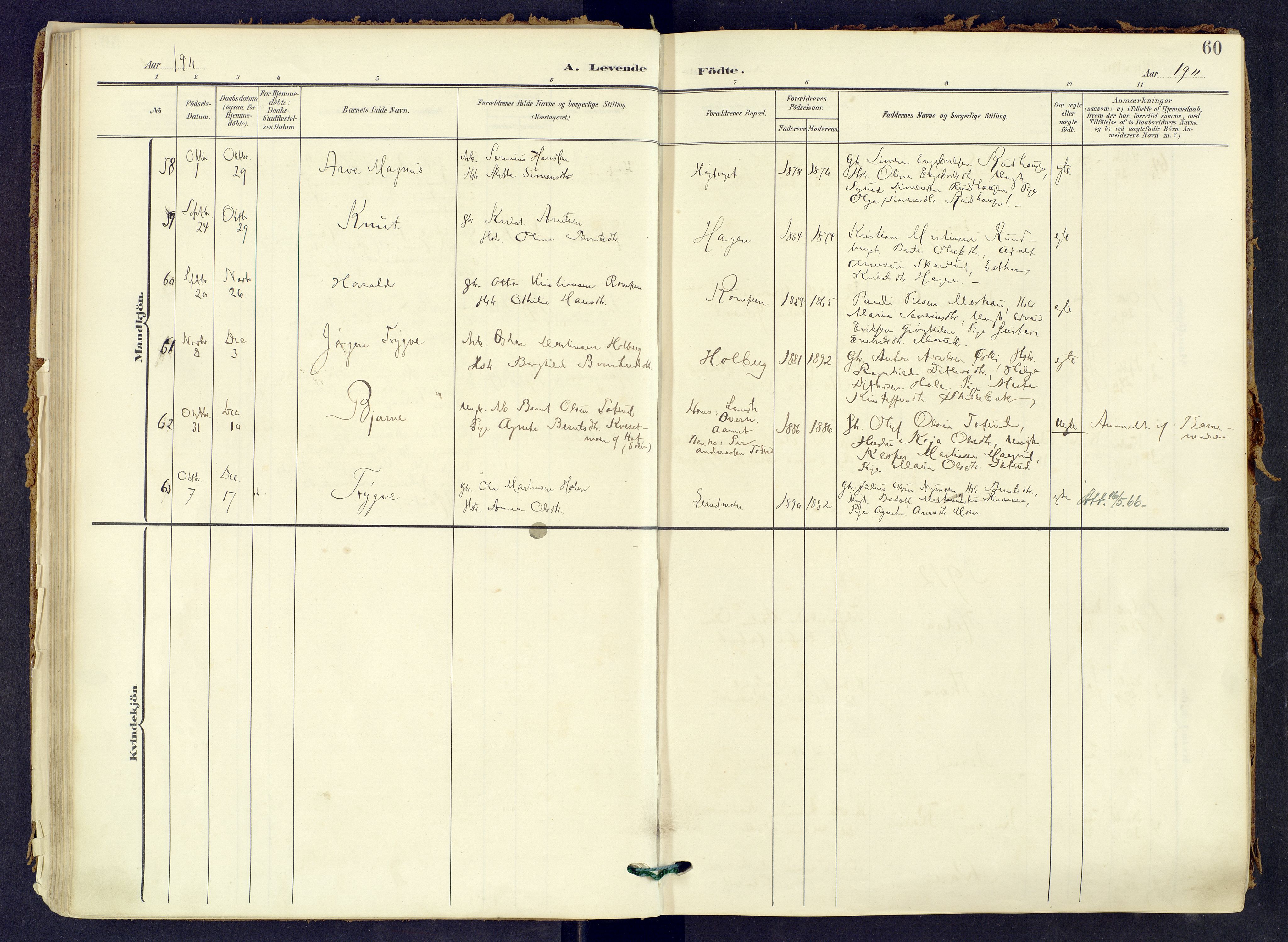Våler prestekontor, Hedmark, AV/SAH-PREST-040/H/Ha/Haa/L0008: Parish register (official) no. 8, 1905-1921, p. 60