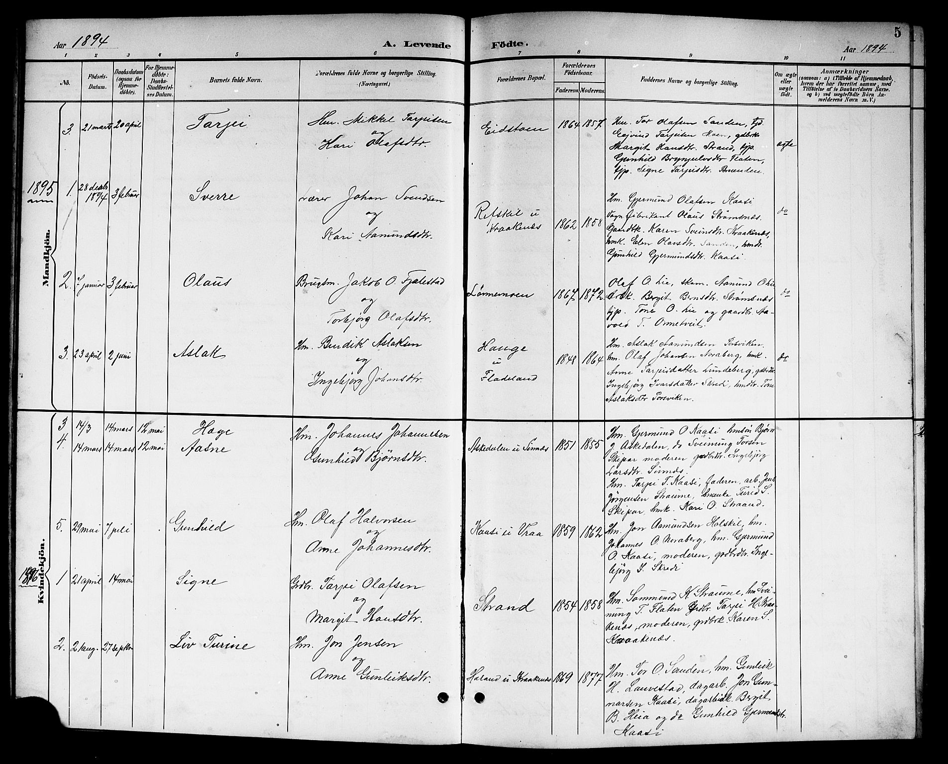 Kviteseid kirkebøker, SAKO/A-276/G/Gc/L0001: Parish register (copy) no. III 1, 1893-1916, p. 5