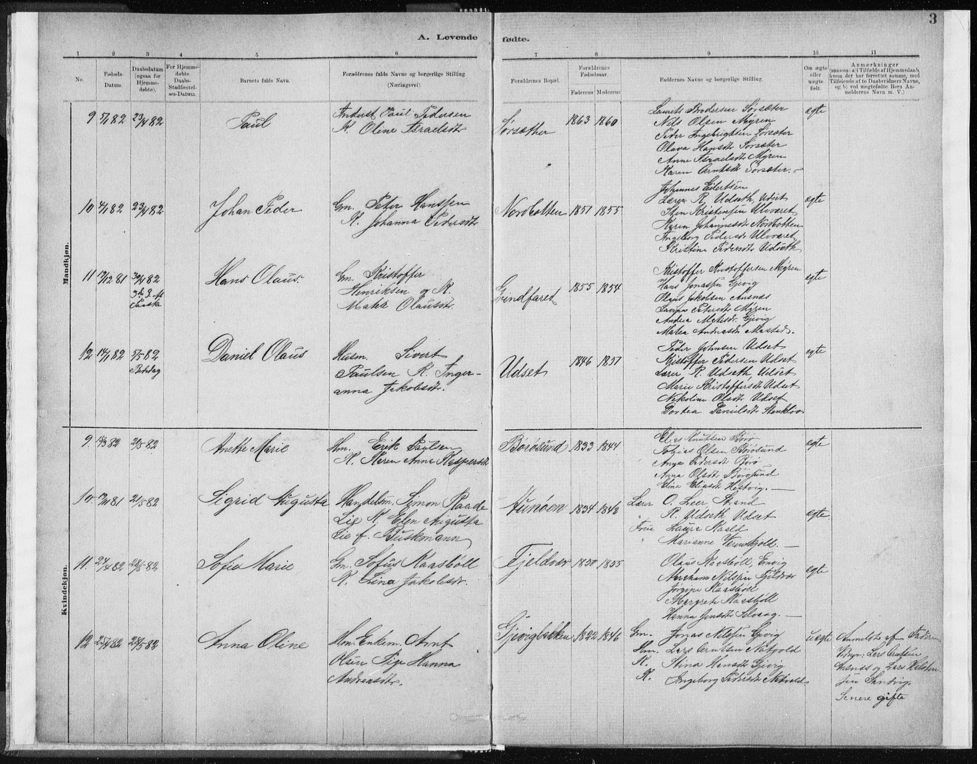 Ministerialprotokoller, klokkerbøker og fødselsregistre - Sør-Trøndelag, AV/SAT-A-1456/637/L0558: Parish register (official) no. 637A01, 1882-1899, p. 3