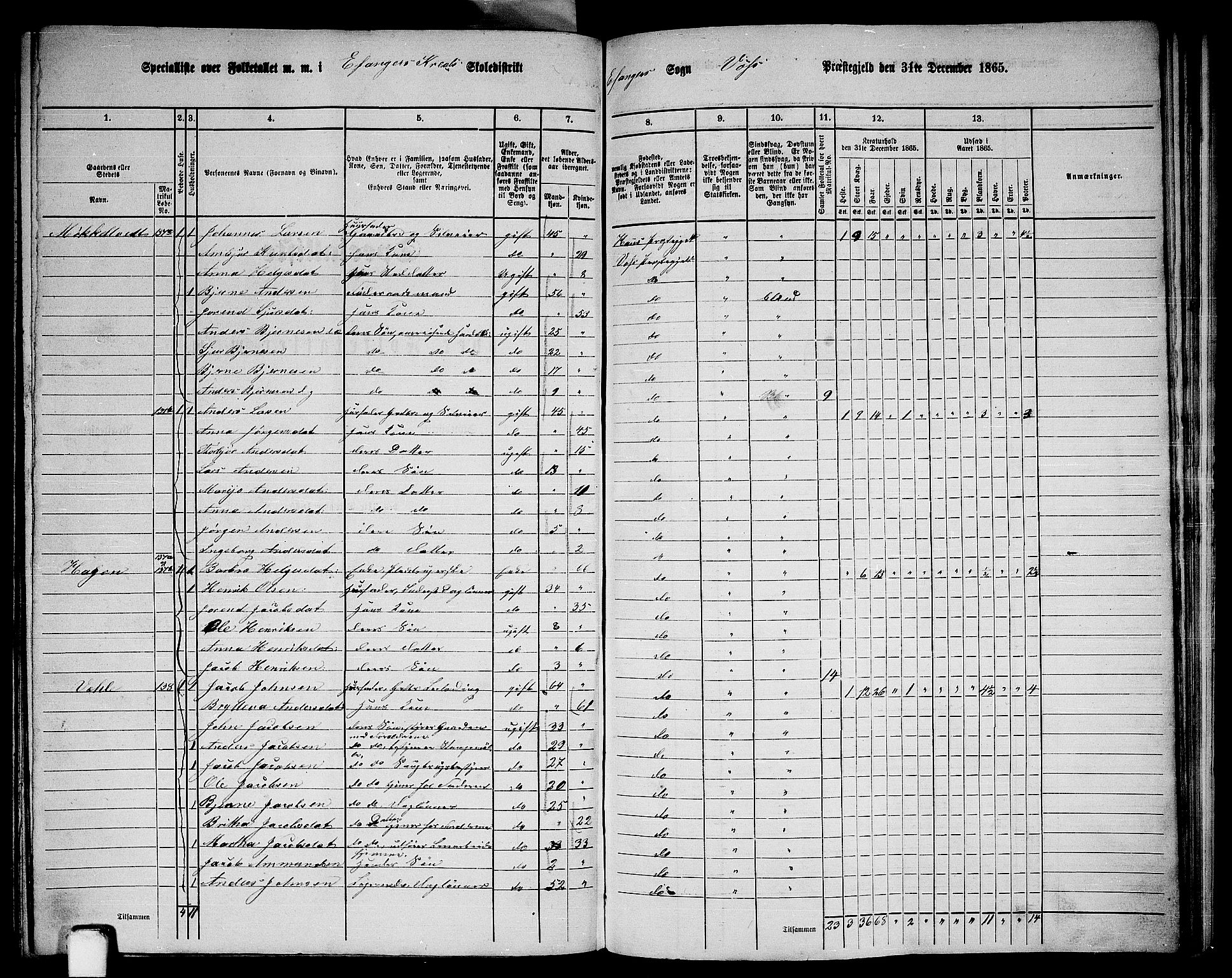 RA, 1865 census for Voss, 1865, p. 382